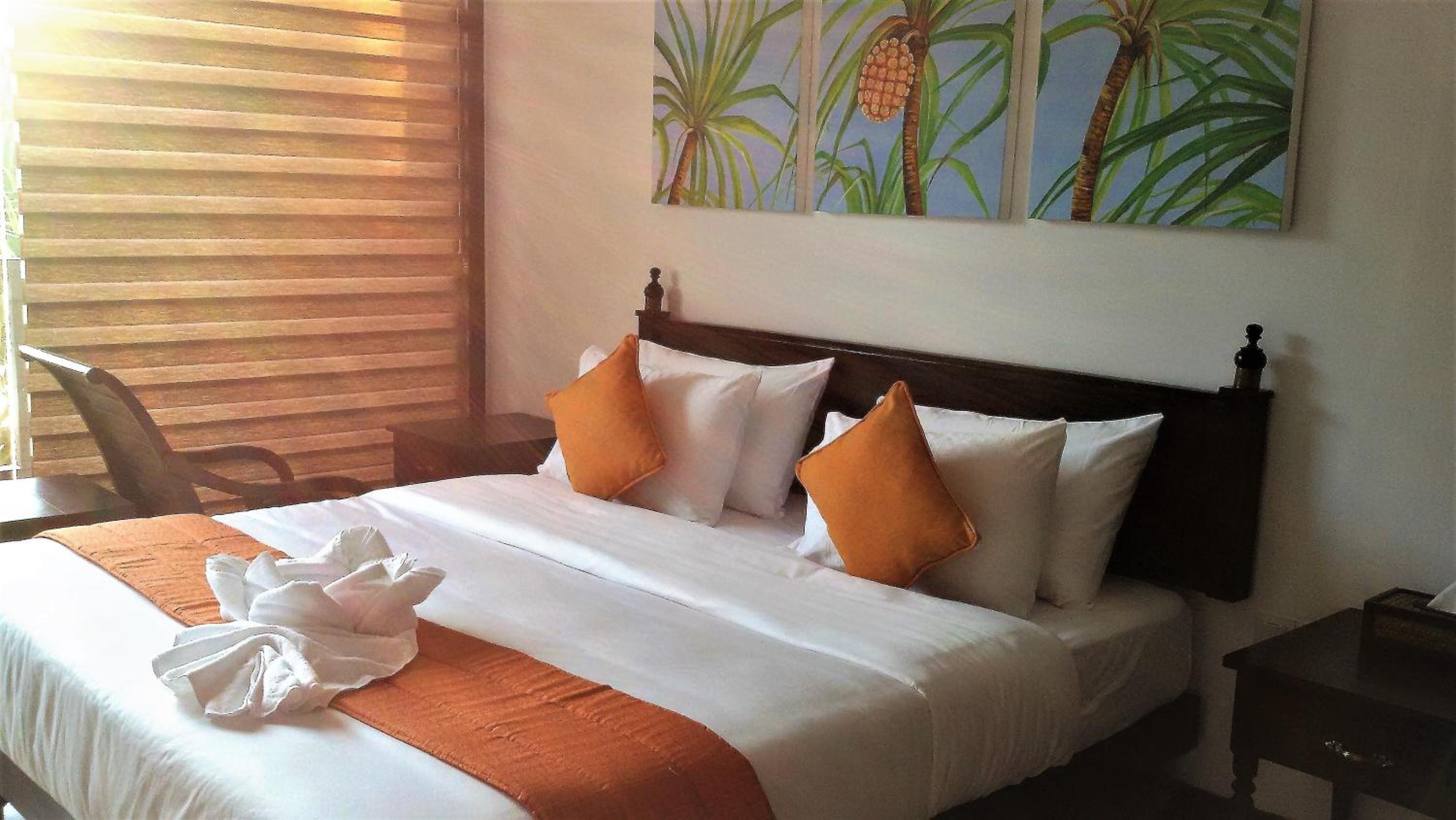 King Suite with Ocean View with Free Guided Tour to Turtle Hatchery photo 3