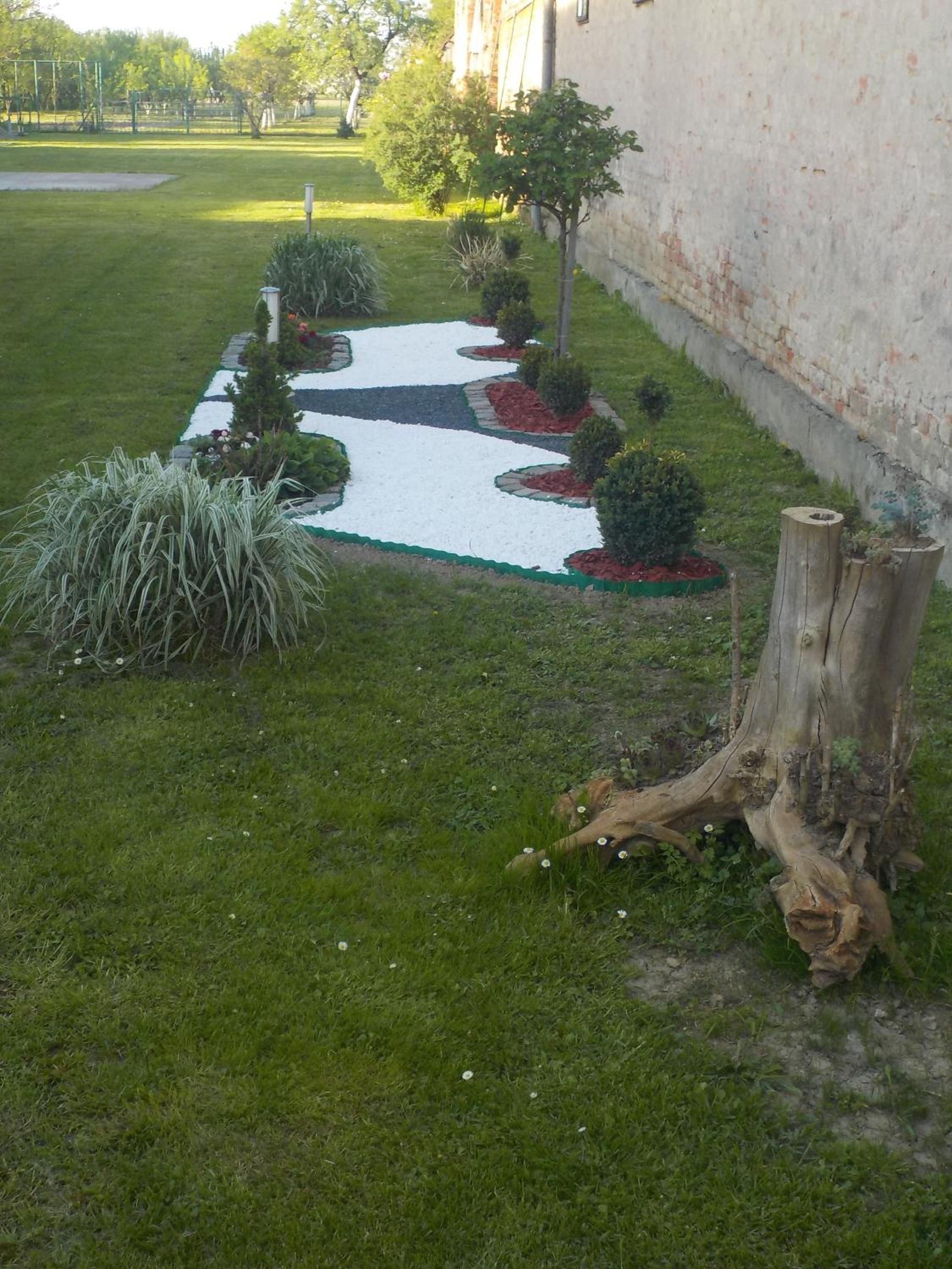 Apartment - Photo 7
