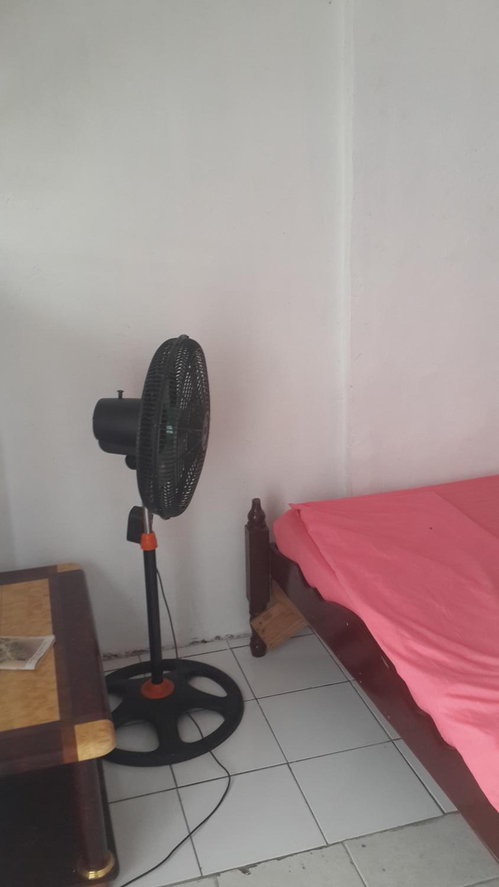 Backpackers Room photo 3