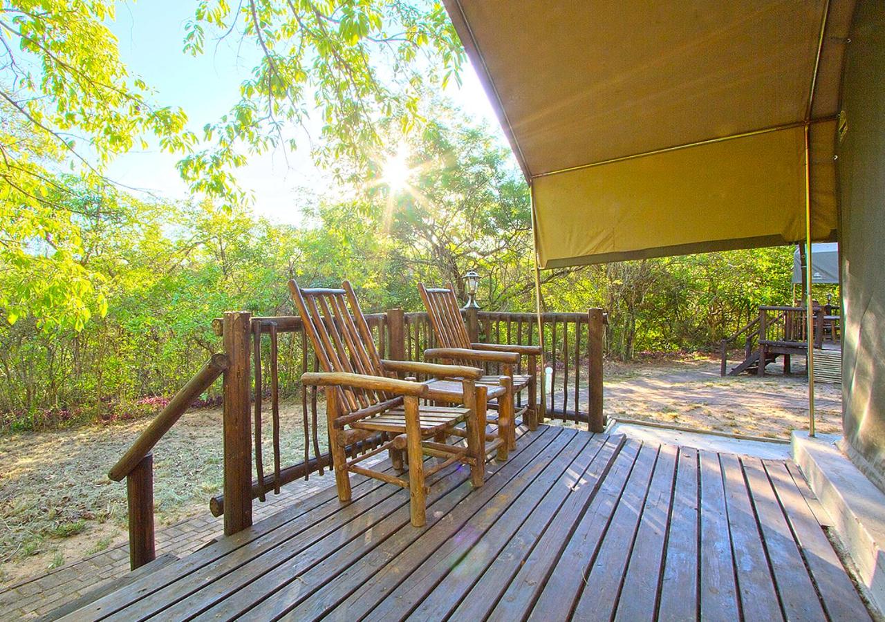 Safari Tented Room photo 2
