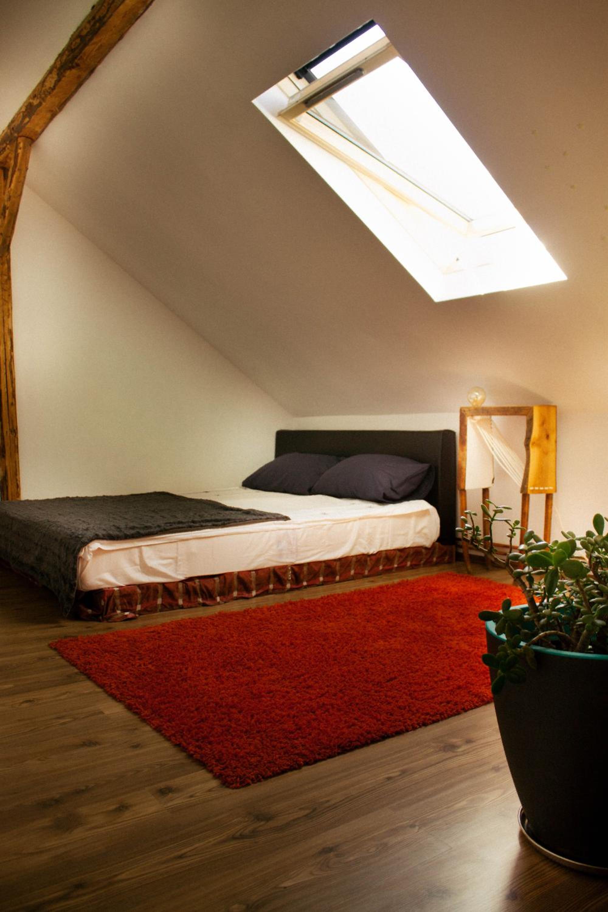 Apartment - Photo 8
