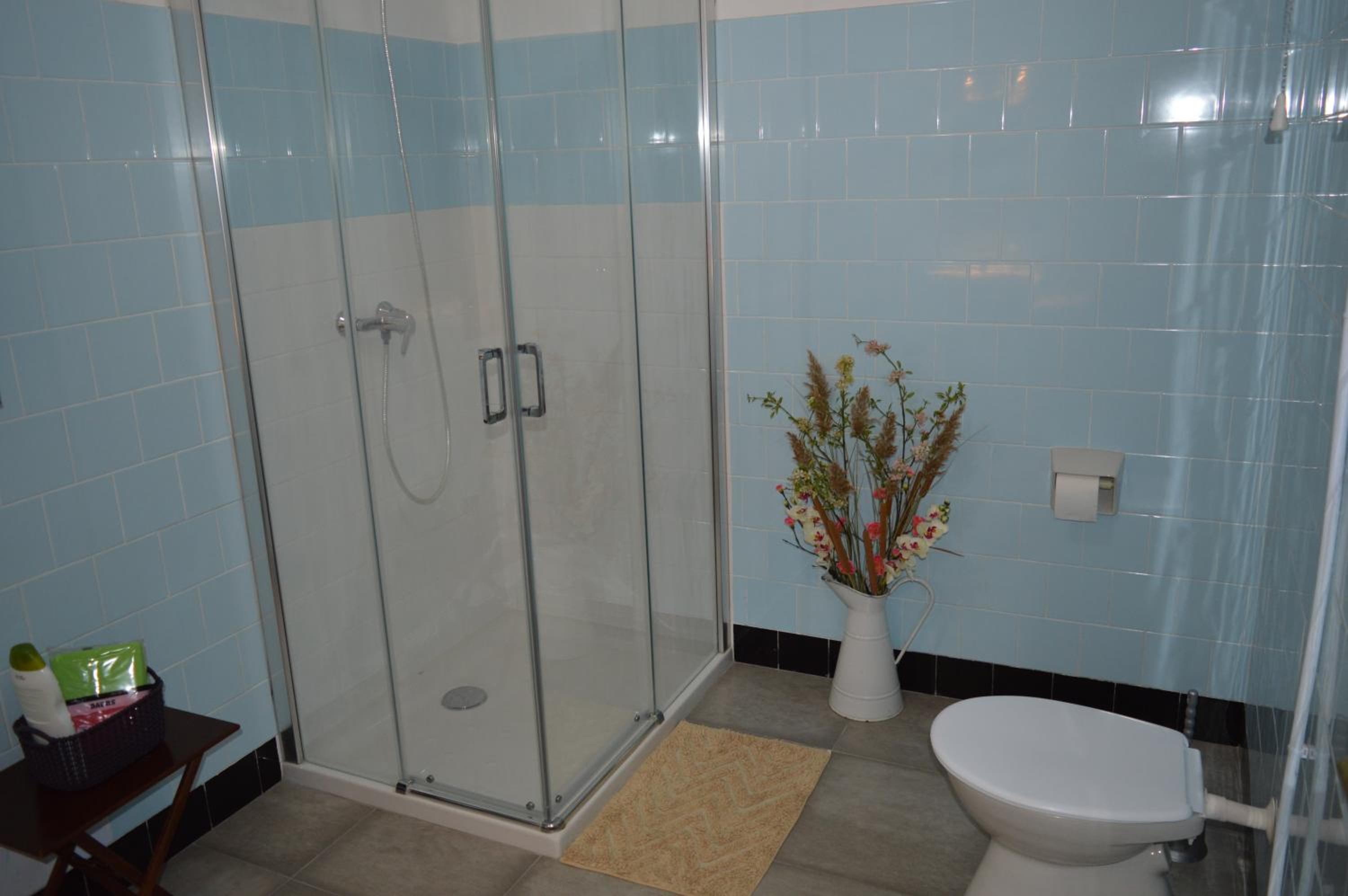 Standard Twin Room with Mountain View and Shared Bathroom photo 3