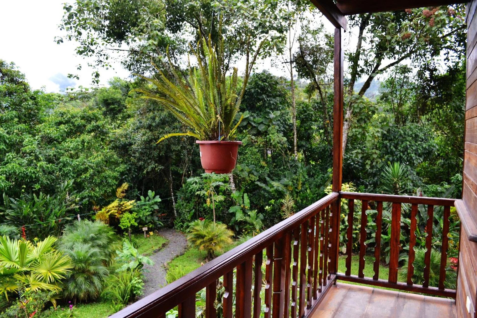 Queen Room with Balcony photo 3