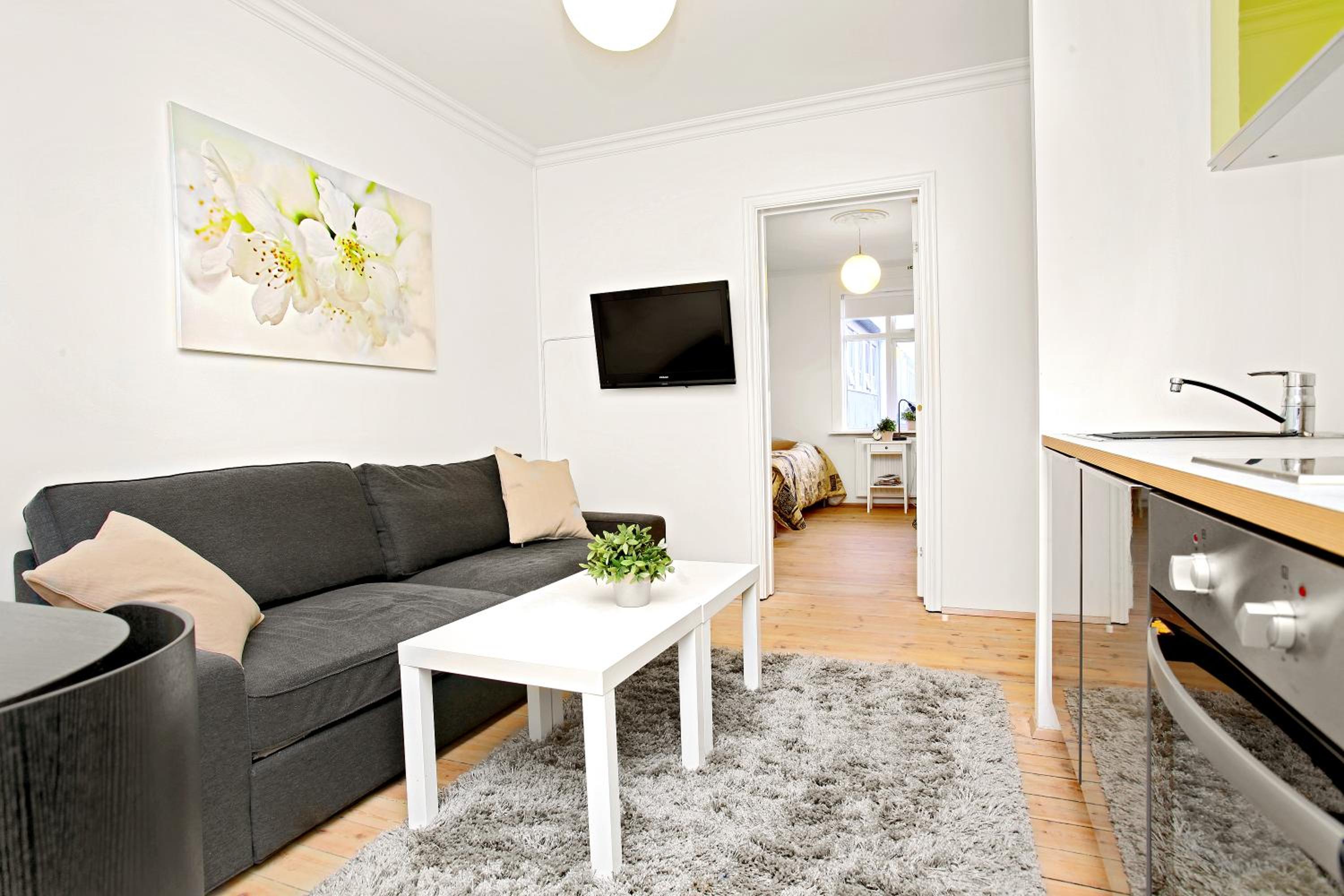 One-Bedroom Apartment photo 3