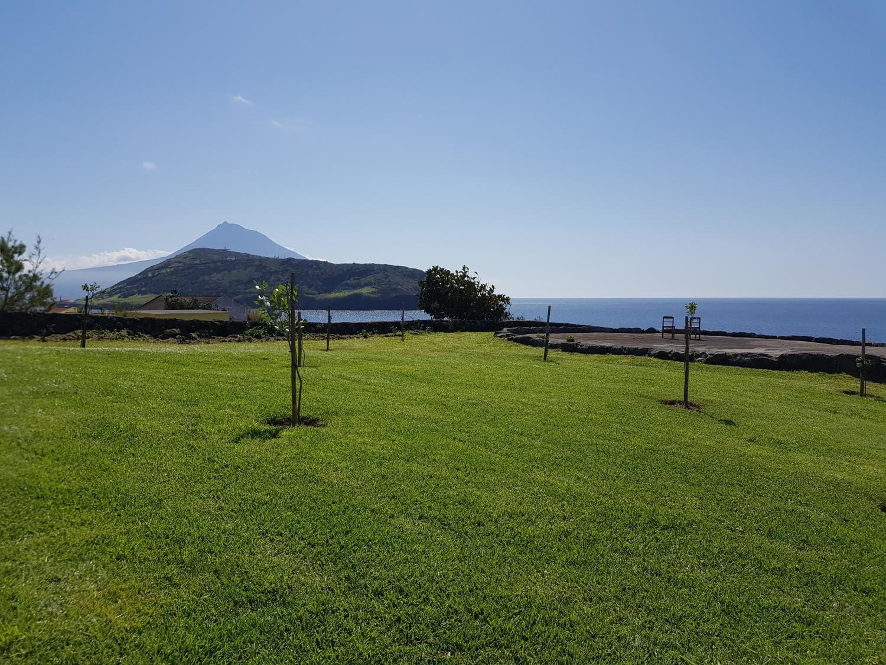 Apartment with Sea View photo 3