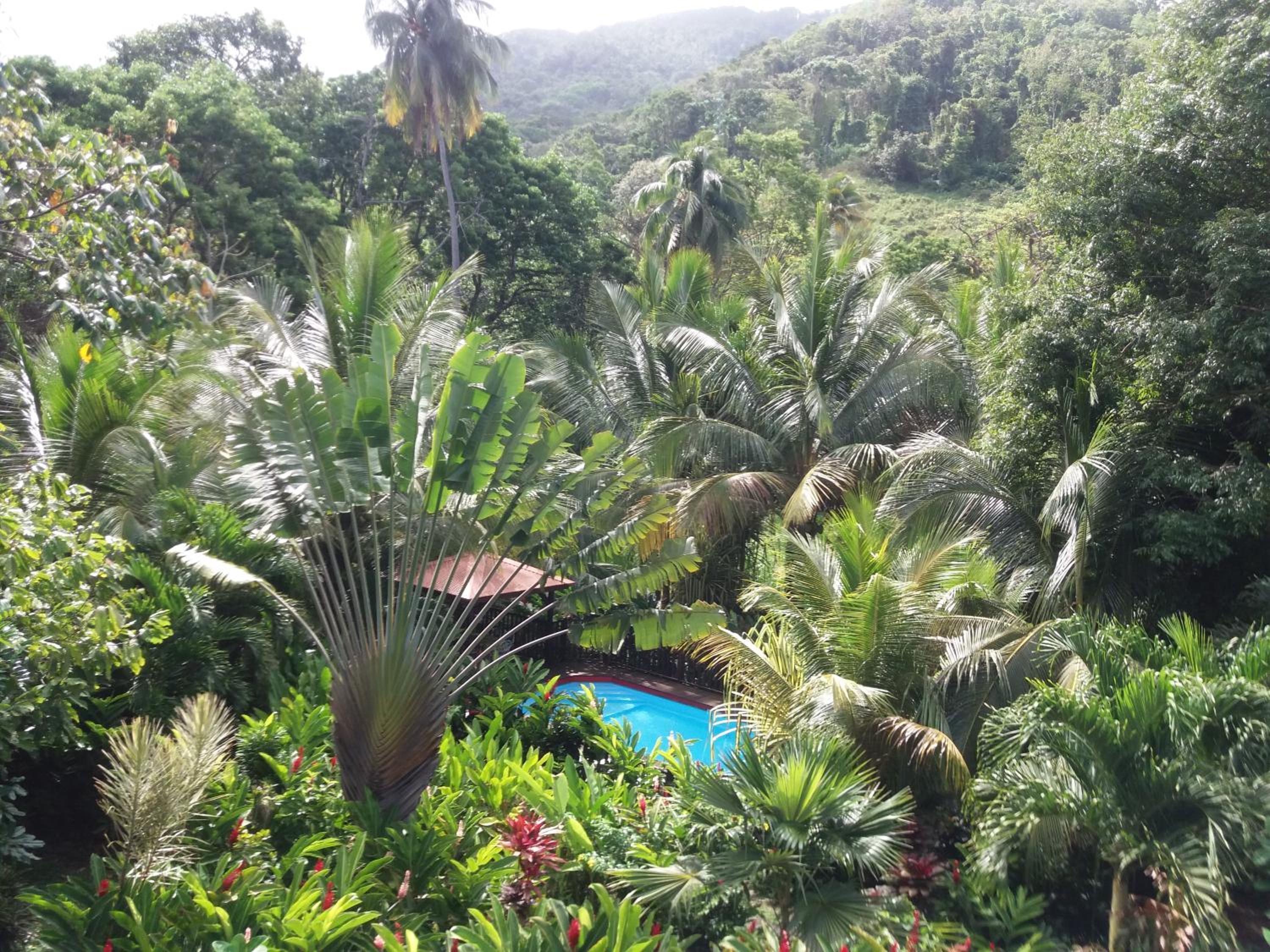 Bungalow with Garden View photo 2
