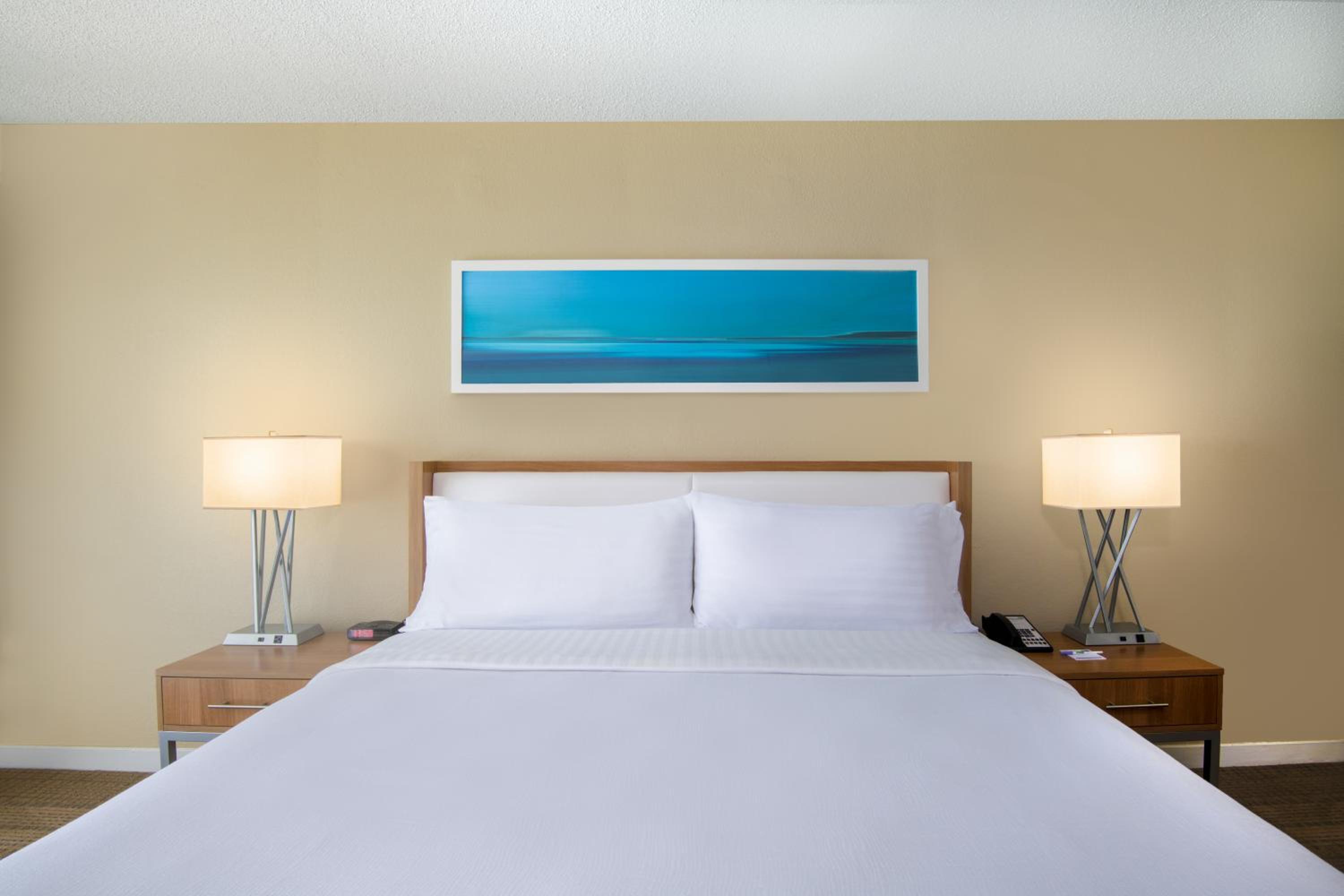 Standard - King or 2 double beds photo 3