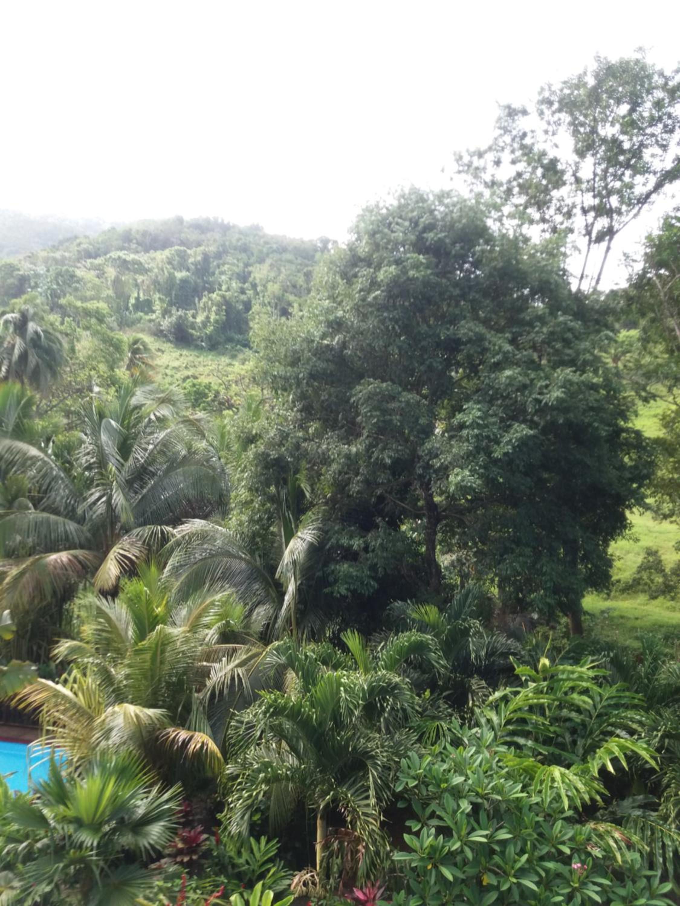 Bungalow with Garden View - Photo 11