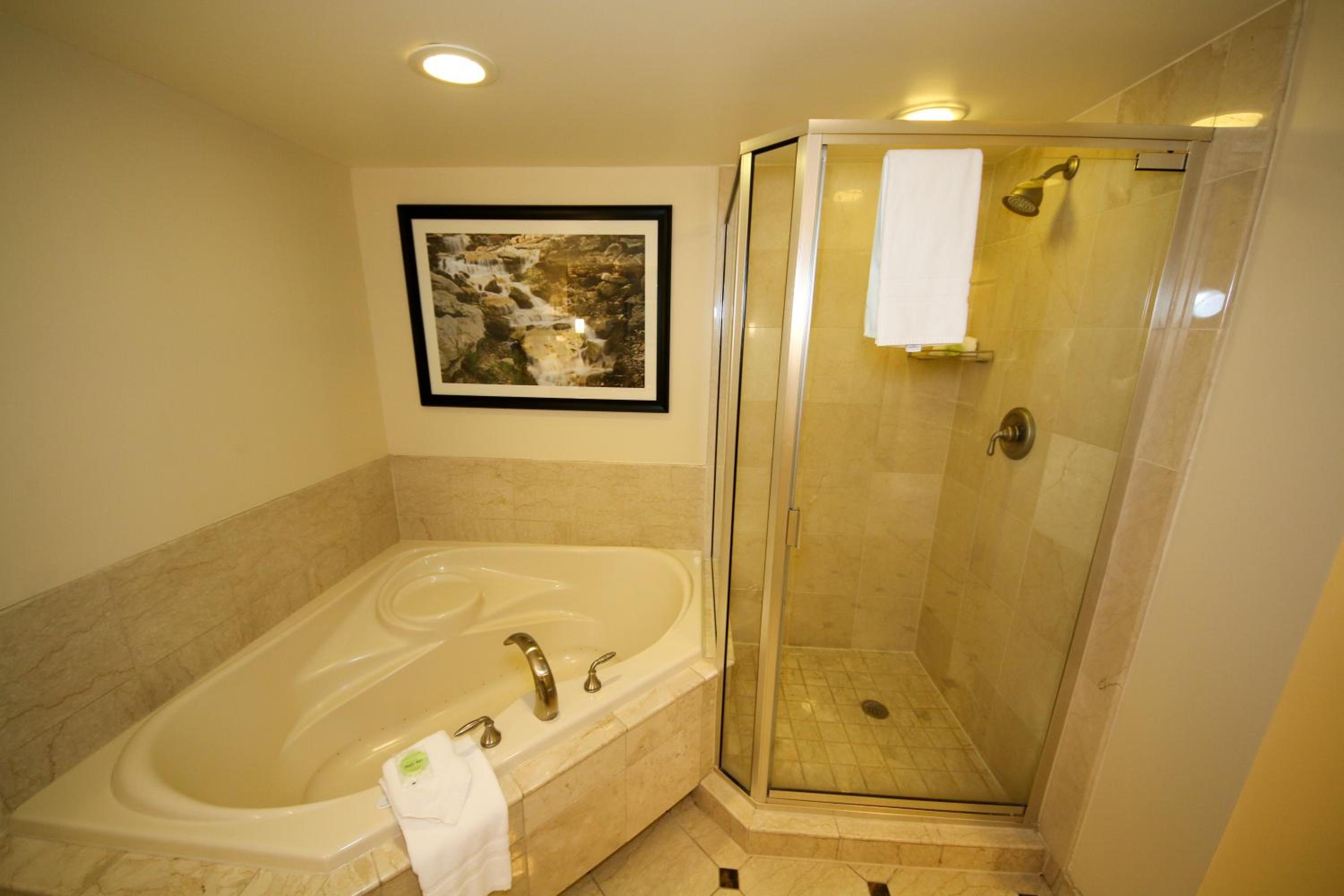 One-Bedroom Suite - Photo 5