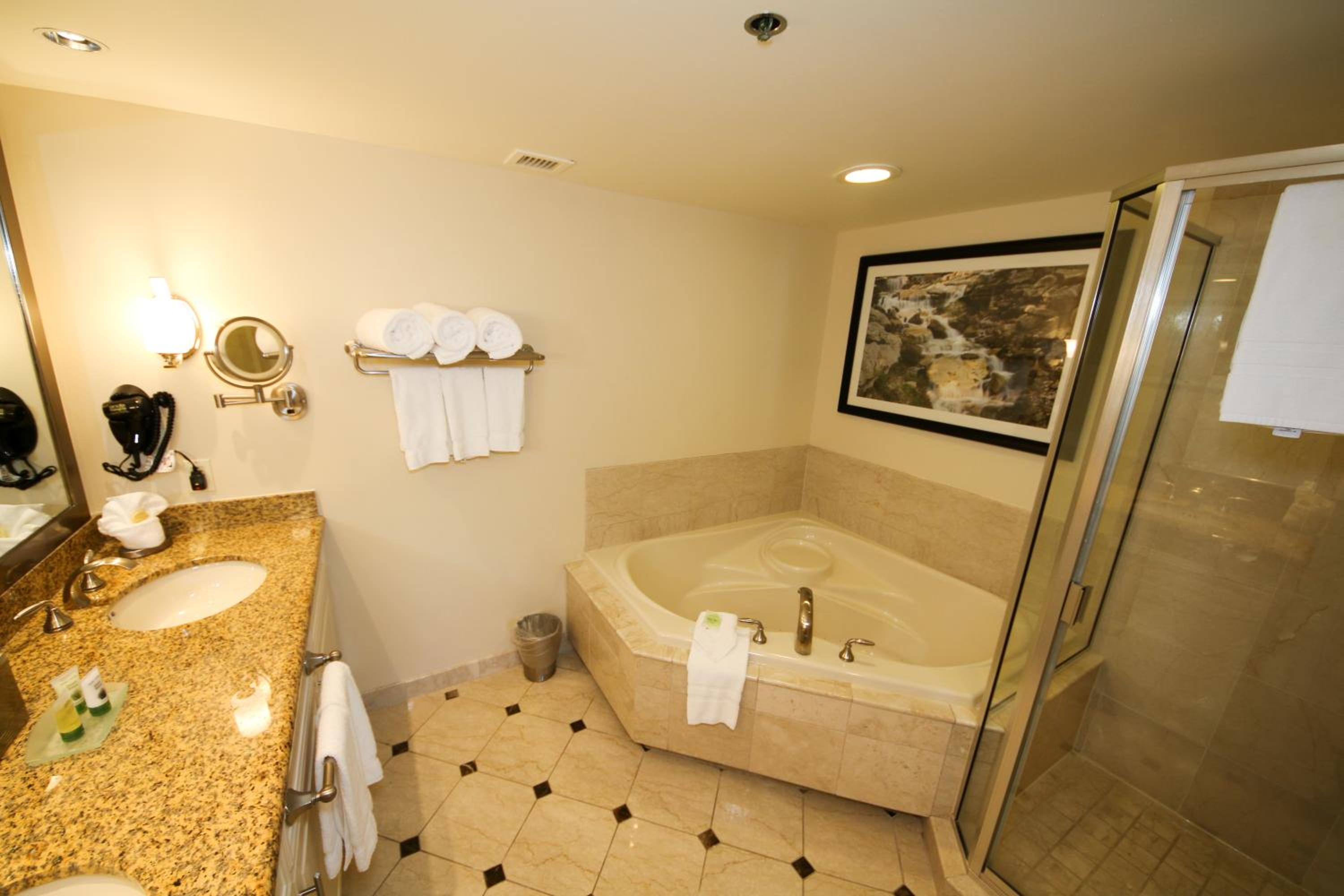 One-Bedroom Suite - Photo 6
