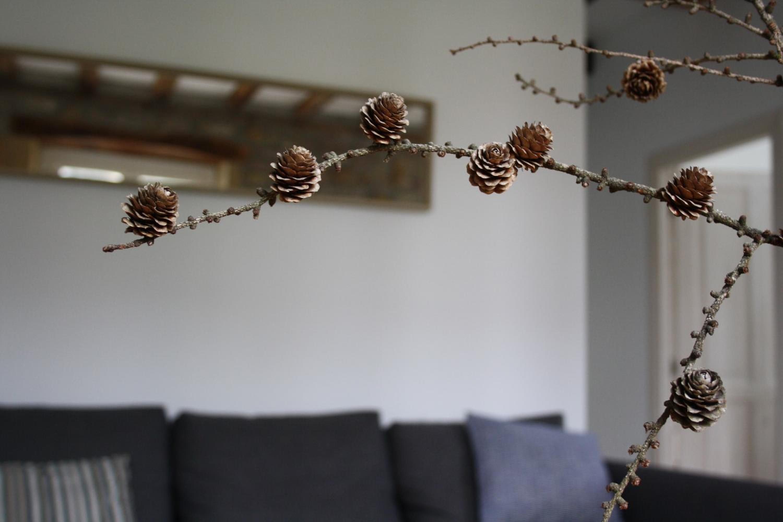 Apartment - Photo 33