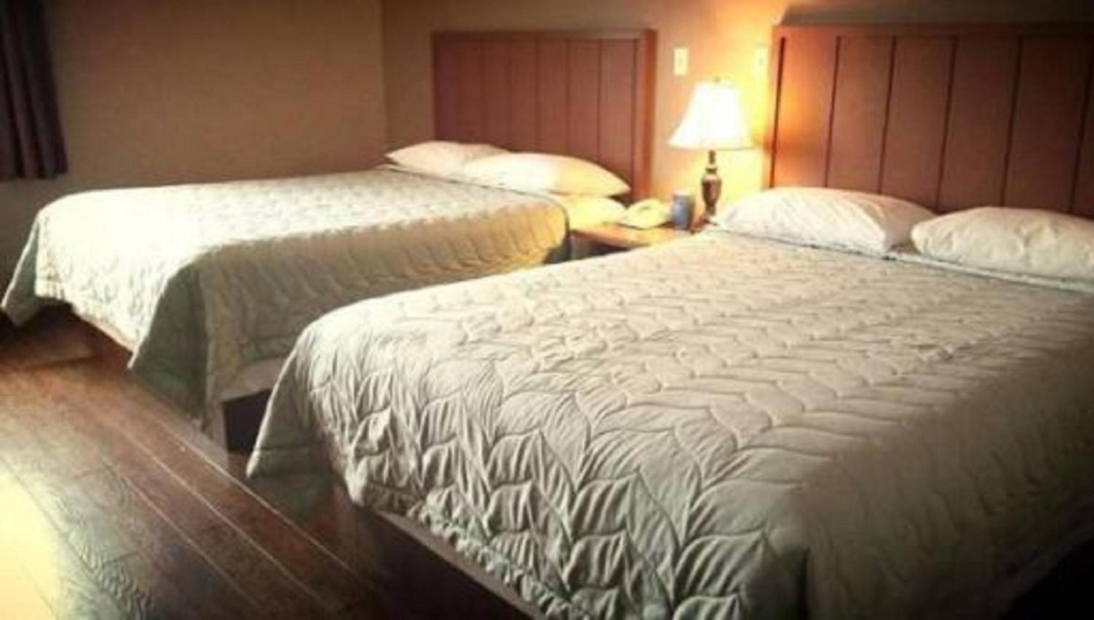 Room with Two Queen Beds photo 1