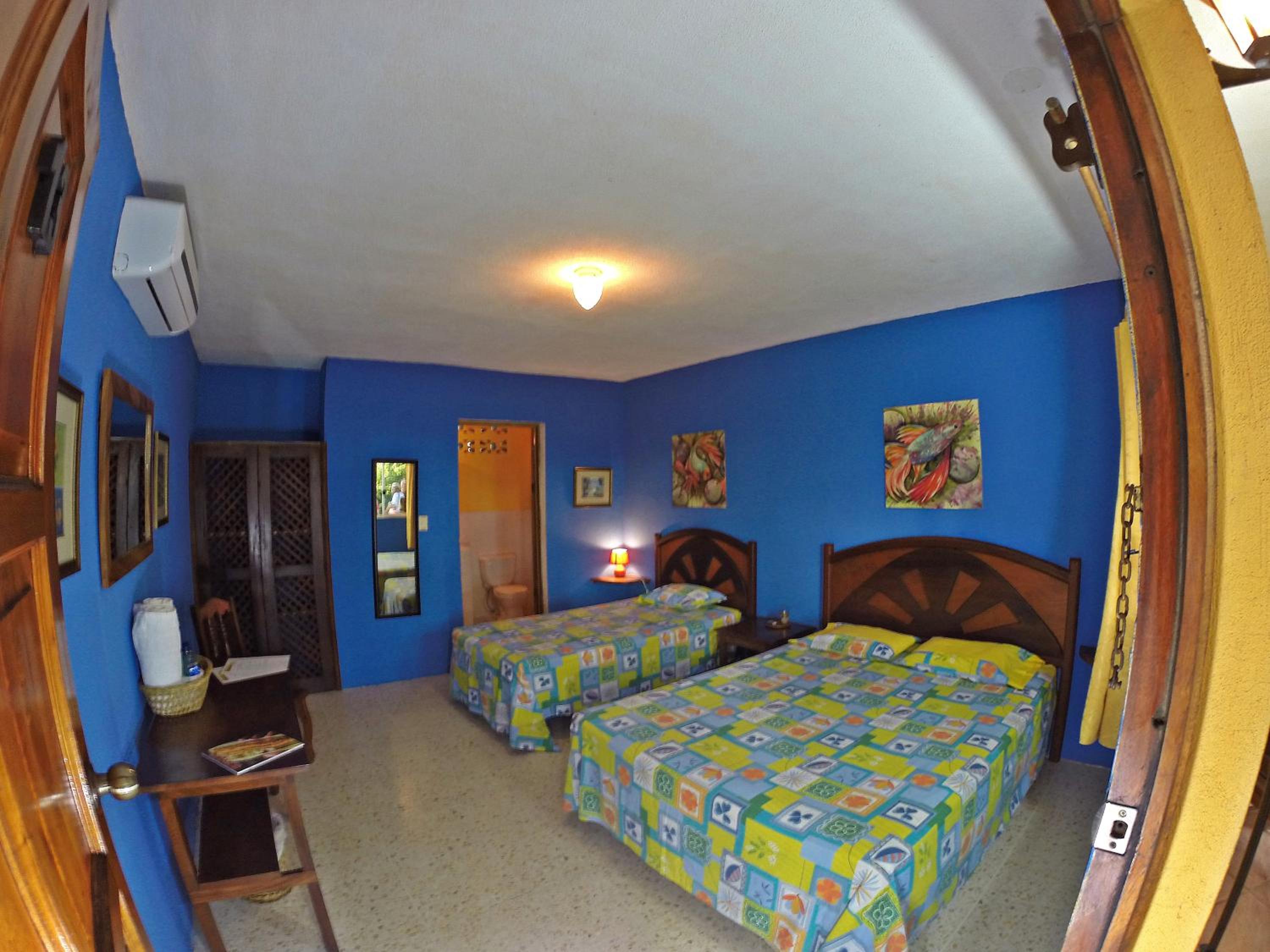 Superior Double Room photo 3