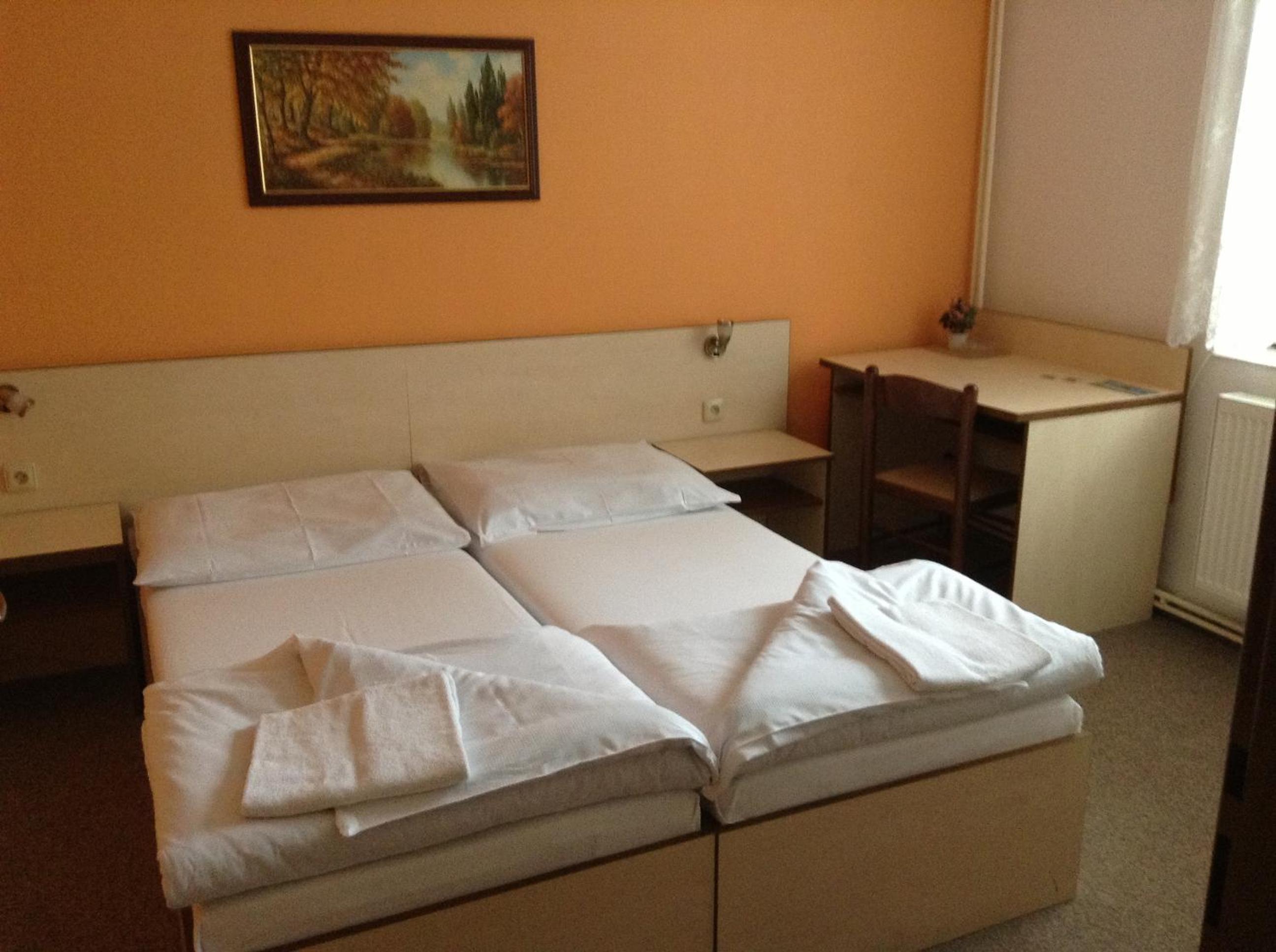 Double or Twin Room photo 1
