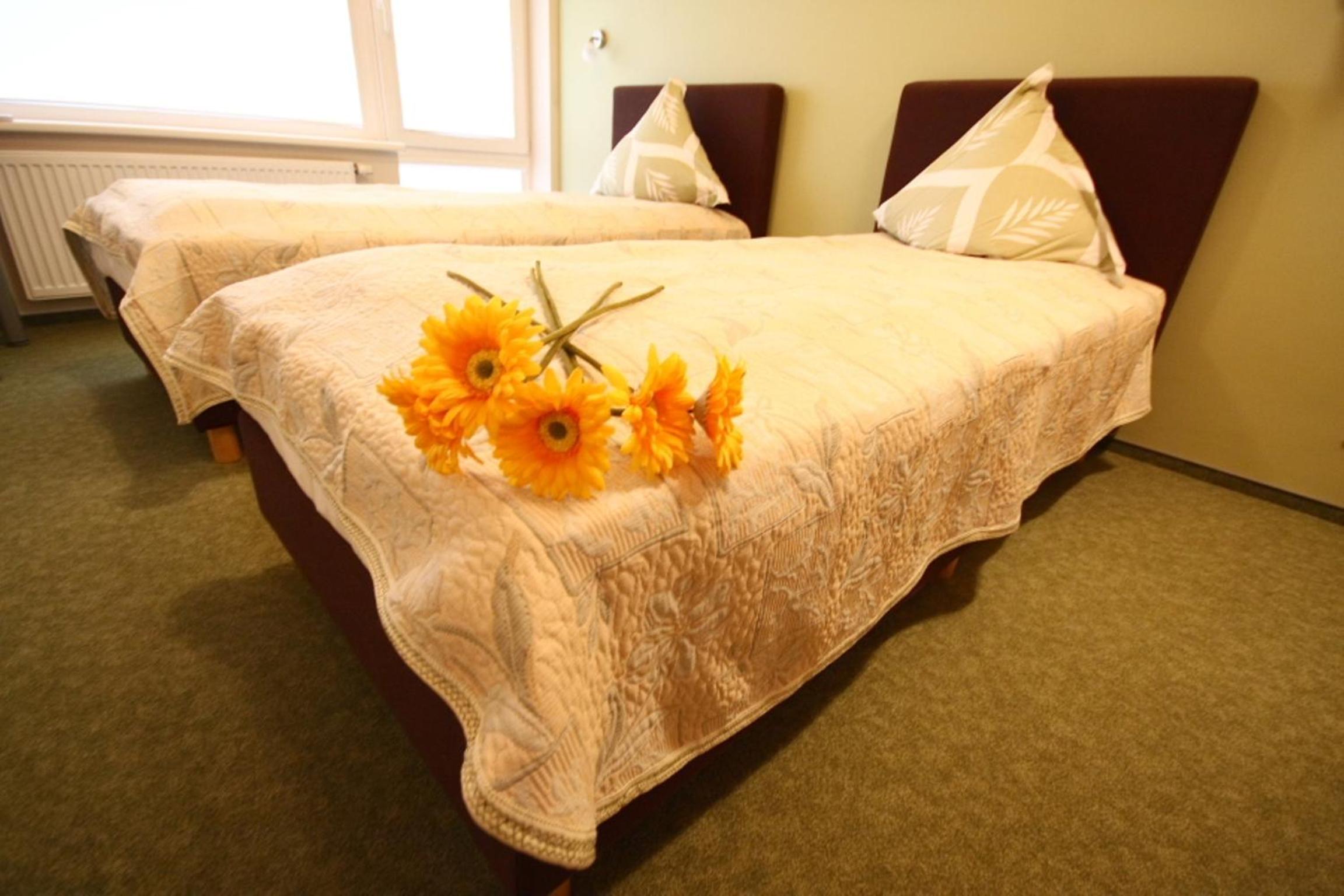 Twin Room - Photo 6