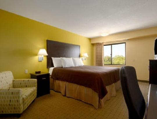 King Room - Non-Smoking - Photo 6