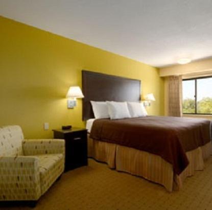 King Room - Non-Smoking - Photo 4