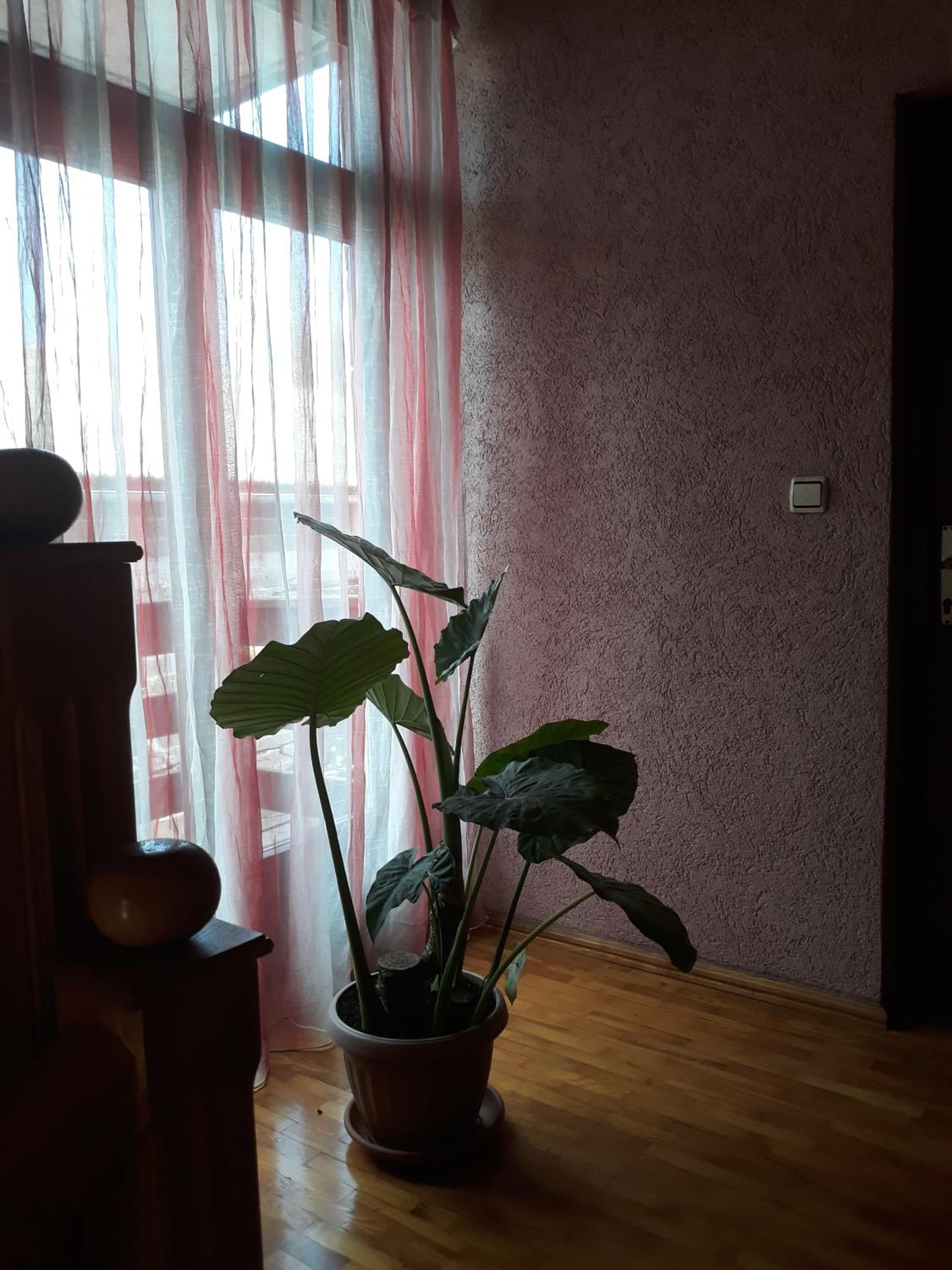 Apartment - Photo 20