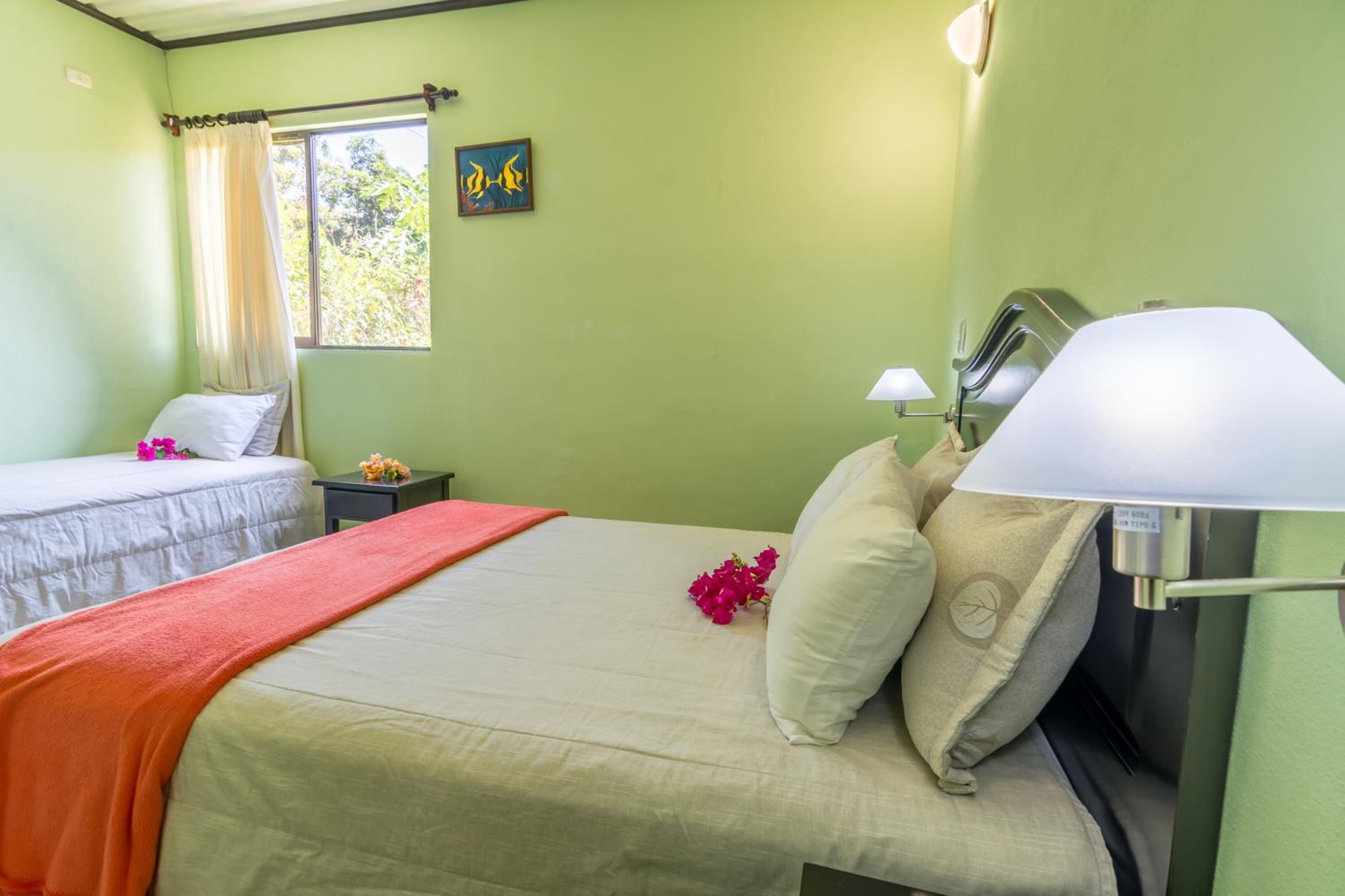 Queen and Single Bedroom photo 3