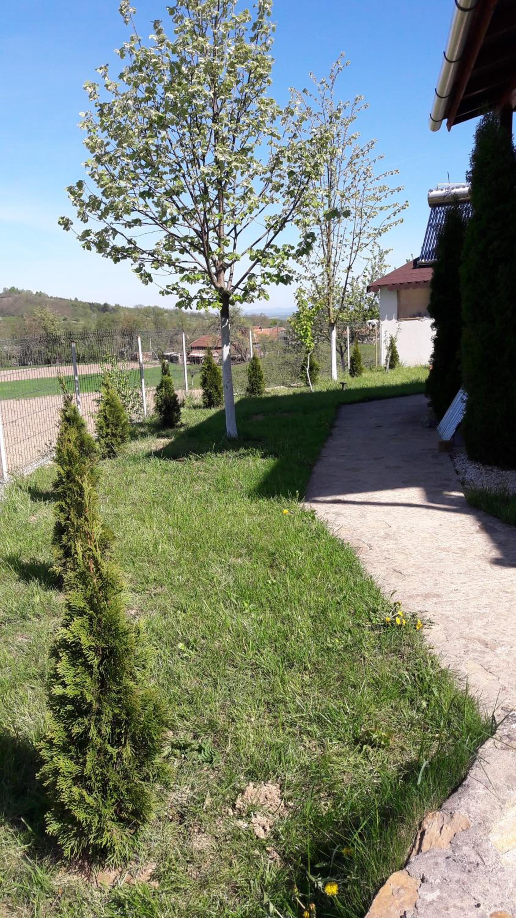 Five-Bedroom House photo 2