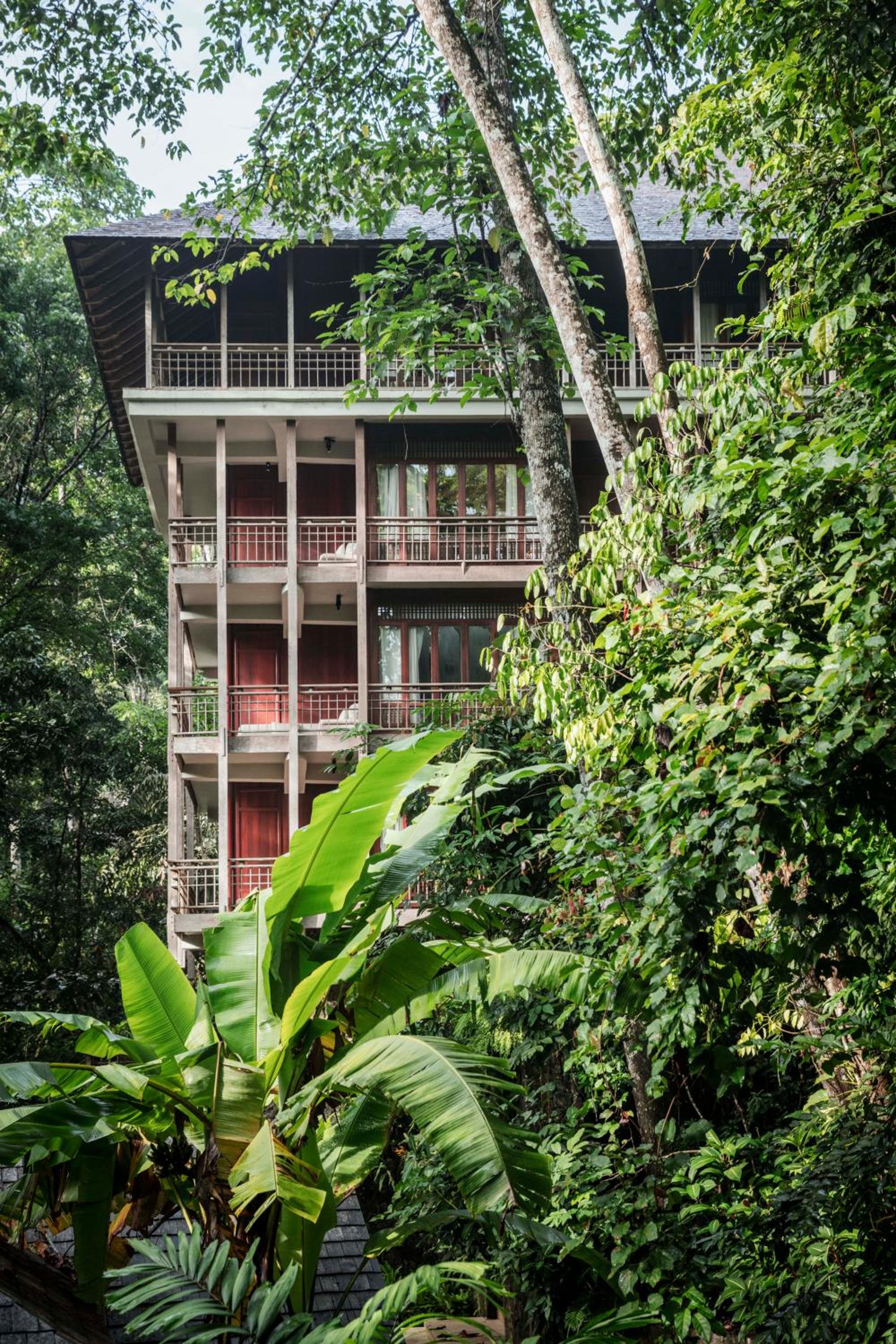 Canopy Suite - Photo 3