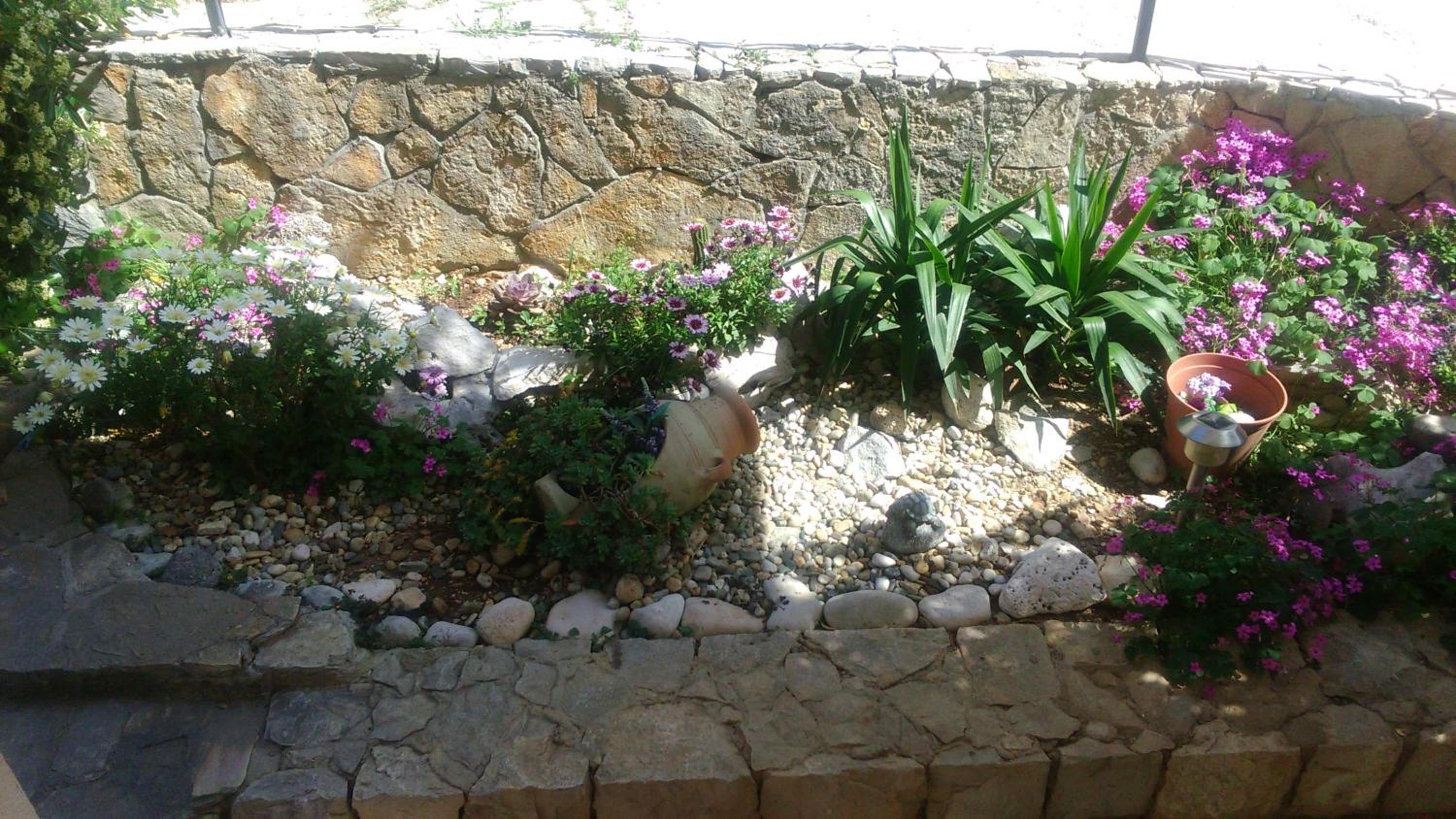 Apartment with Terrace photo 2