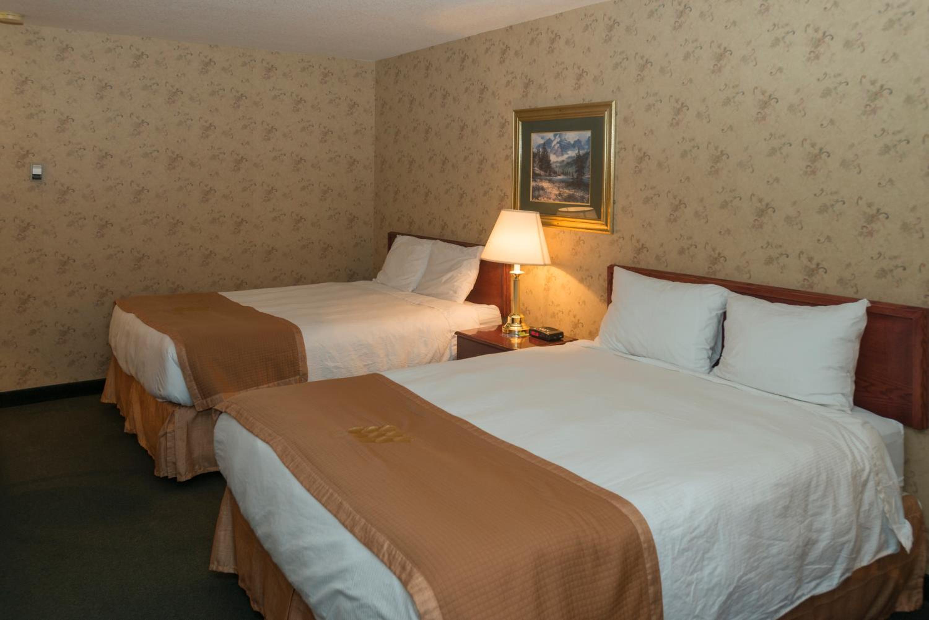 Queen Room photo 1