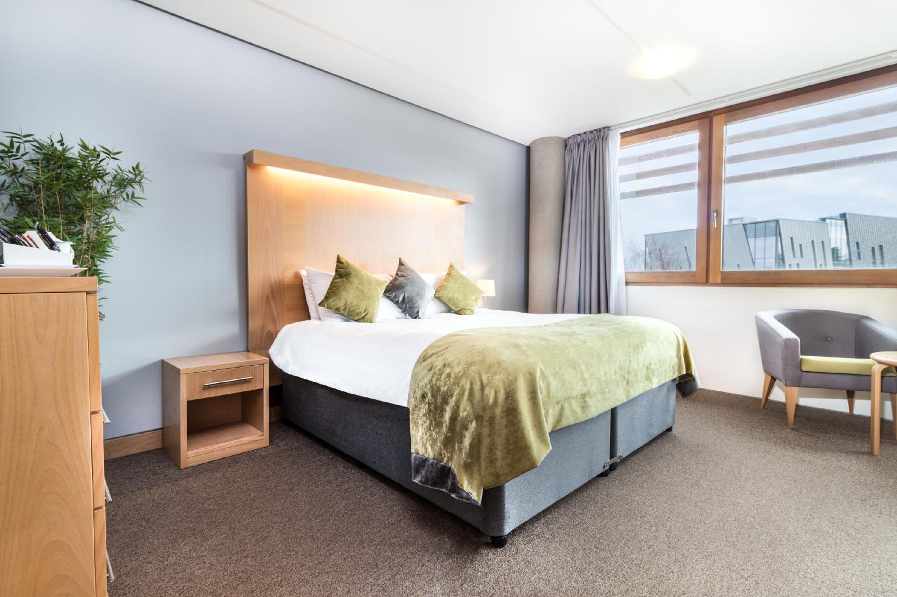 Superior Room photo 3