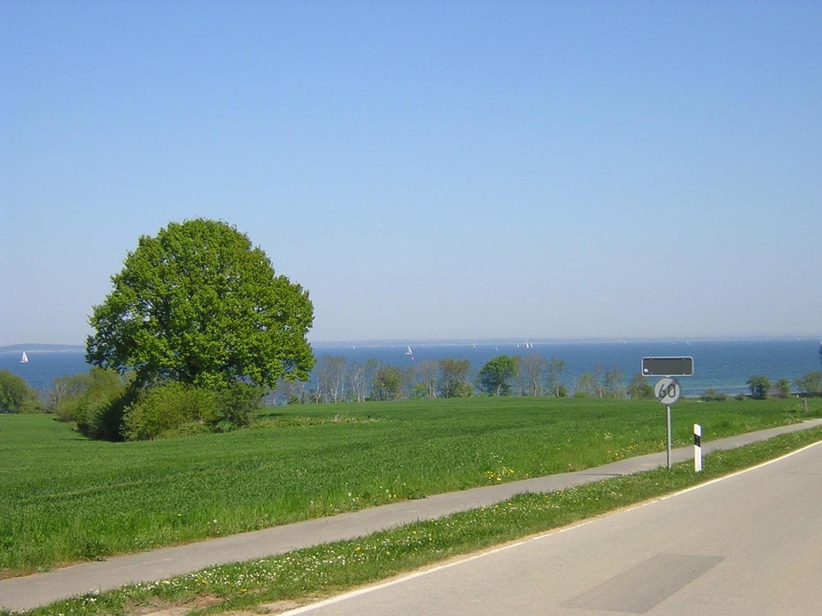 Vacation Home photo 3
