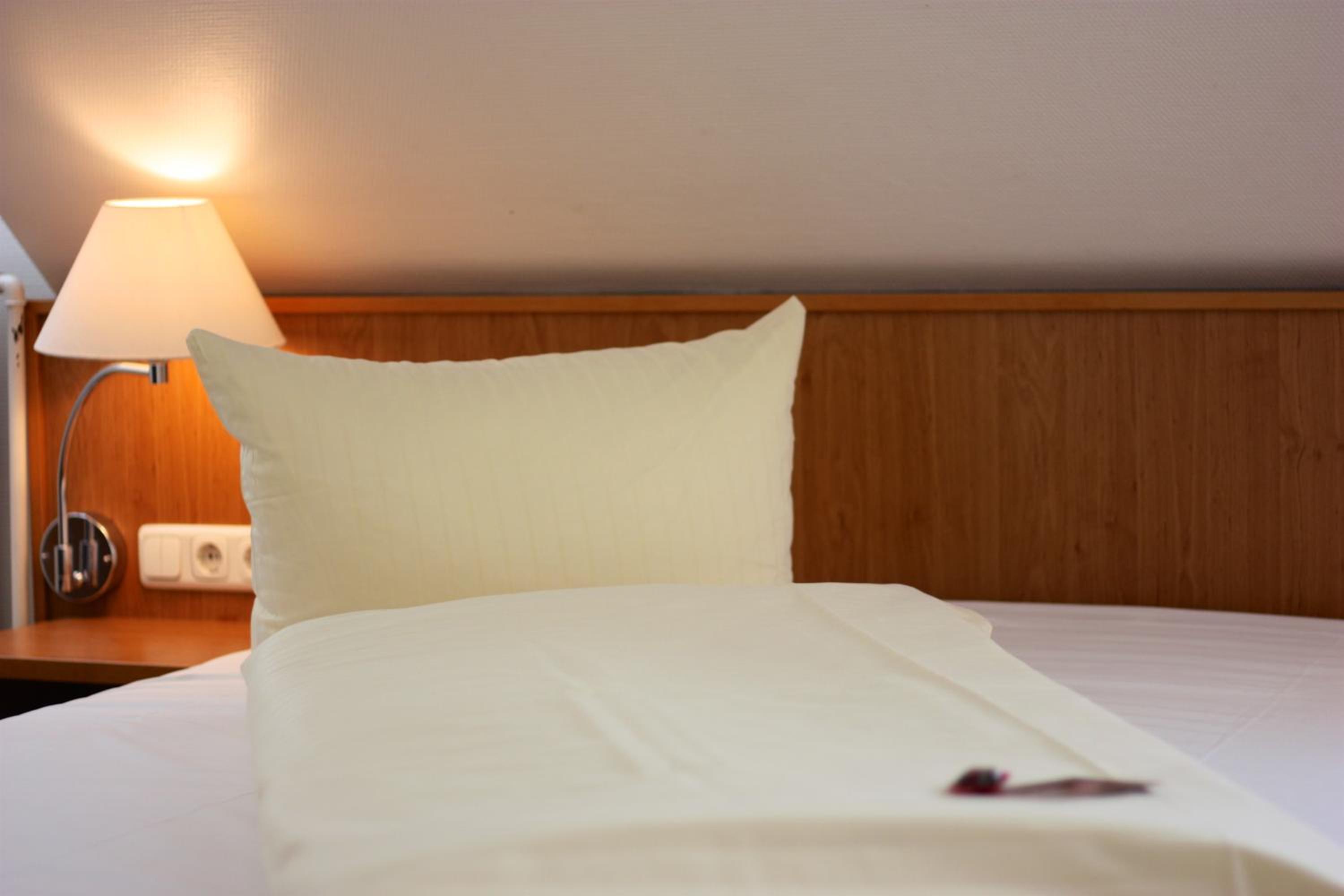 Single Room photo 2