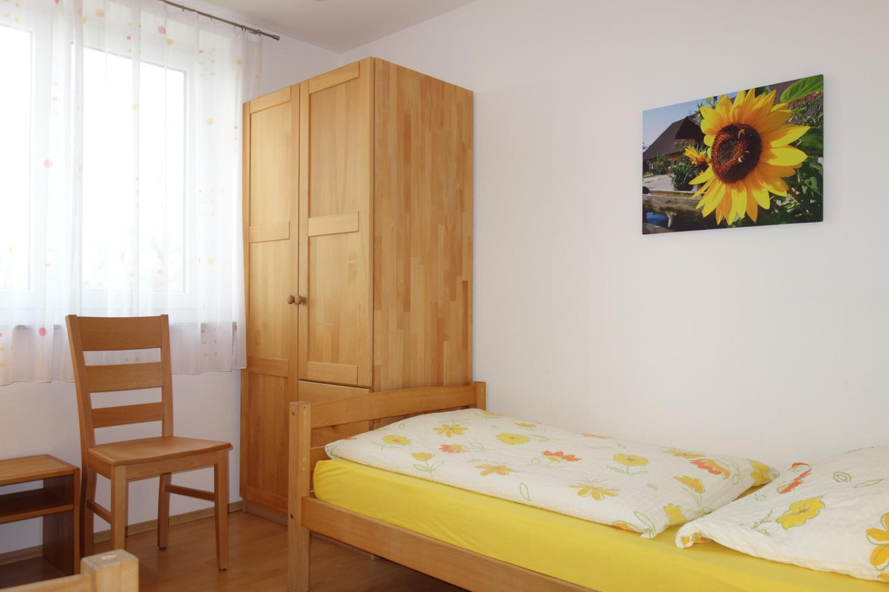 Apartment with Terrace photo 1