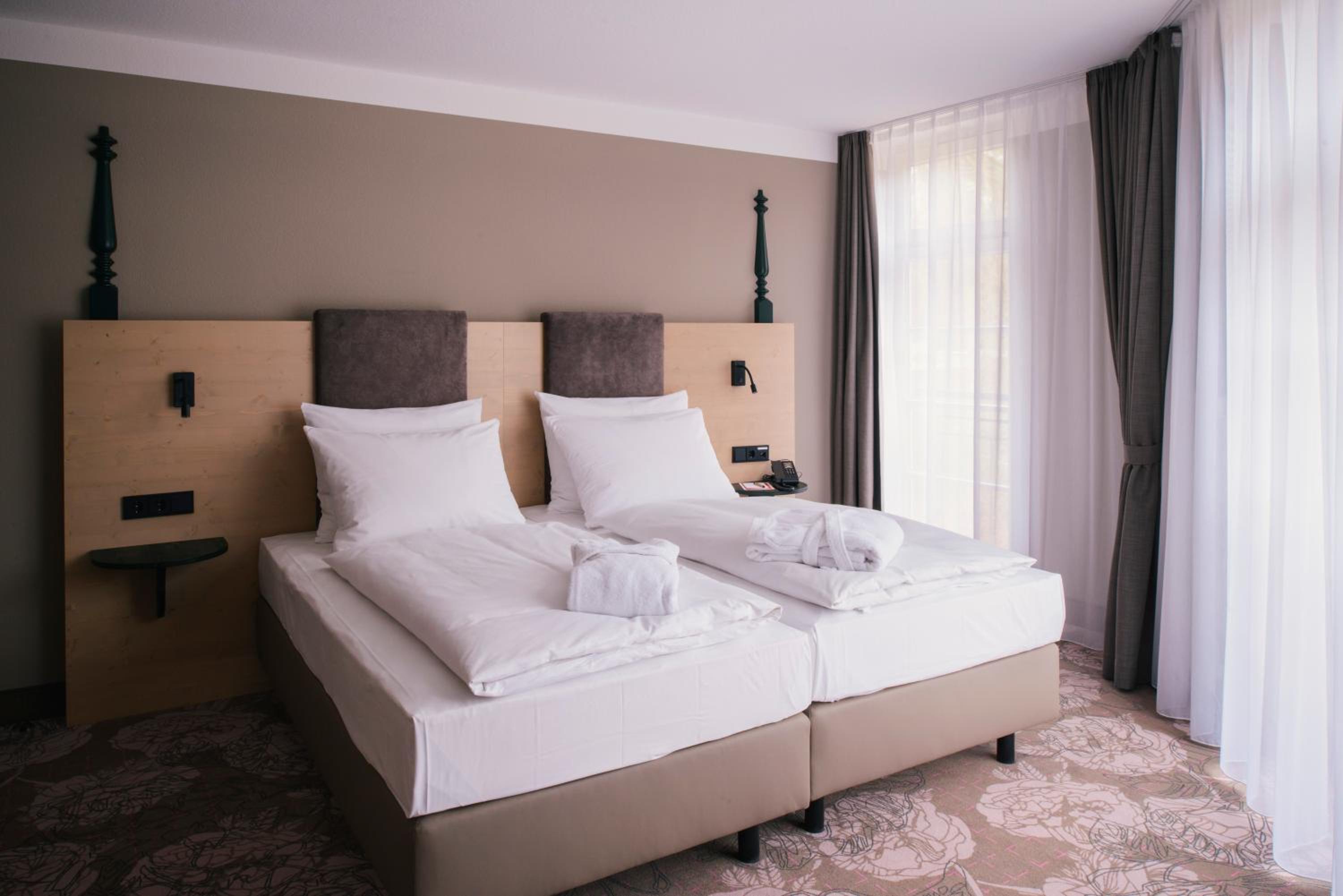 Suite - Photo 1