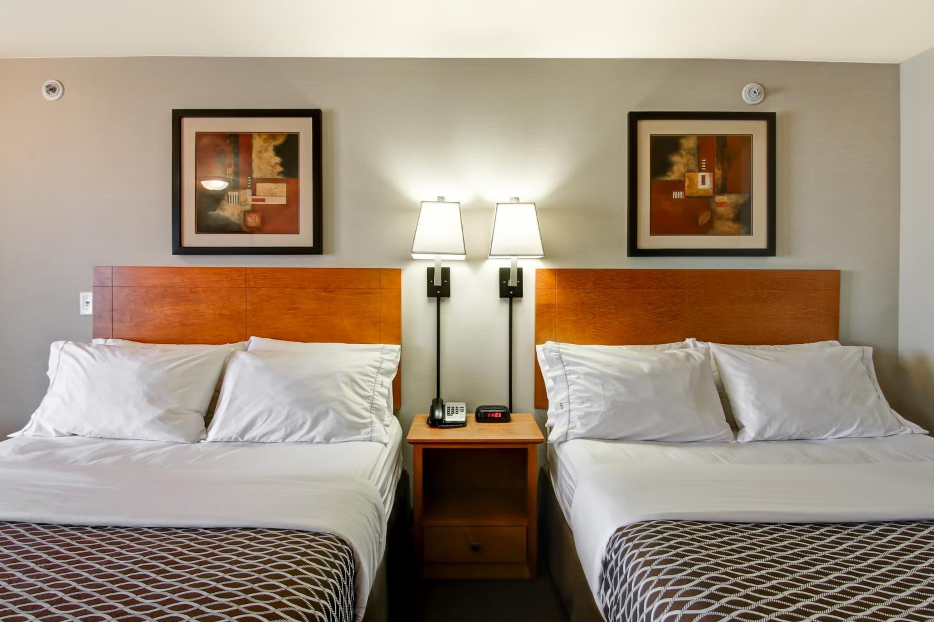 Standard Queen Room with Two Queen Beds photo 1
