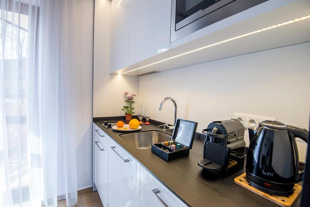 One-Bedroom Comfort Apartment with Fireplace and air conditioning - Photo 2