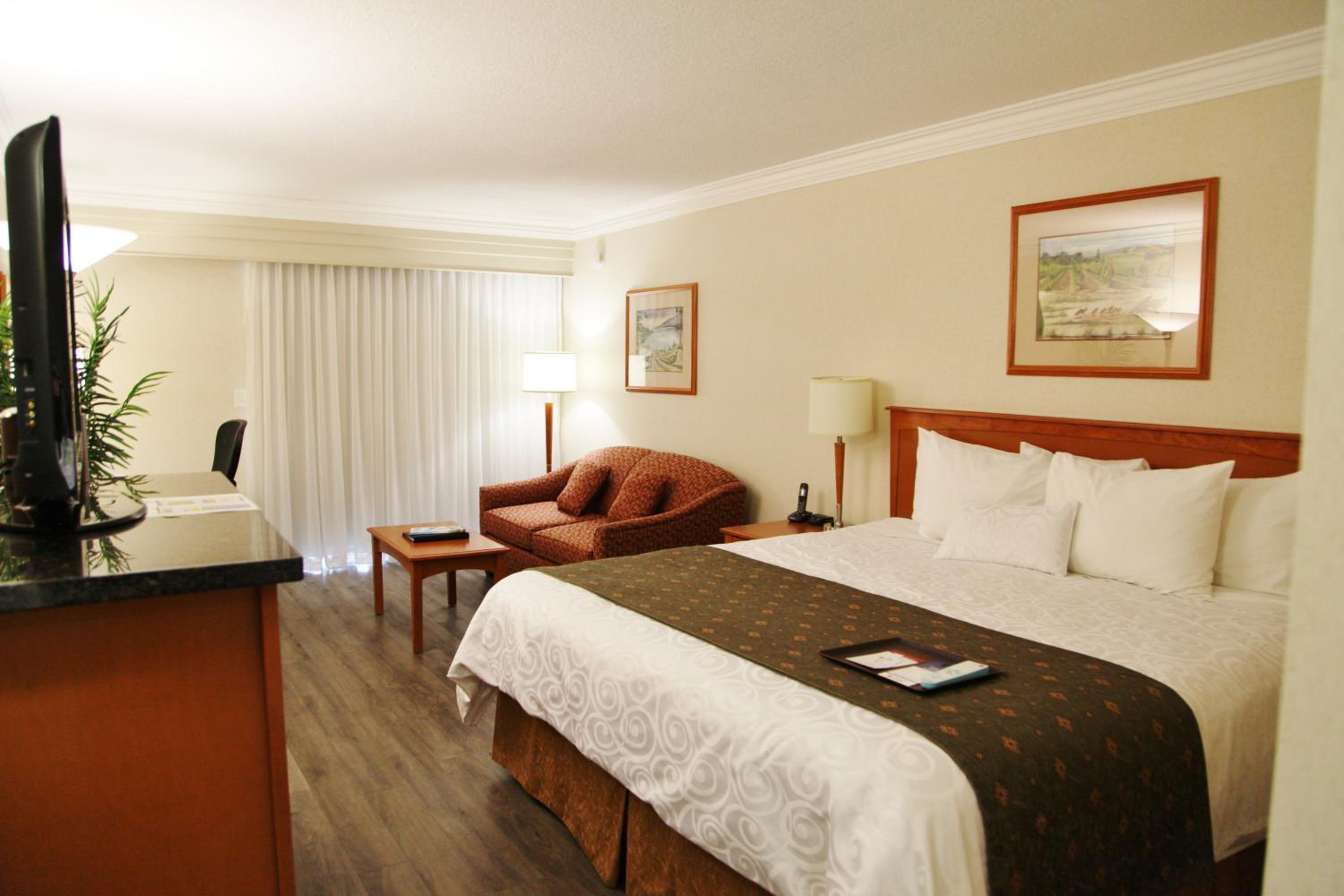 King Suite with Sofa Bed - Non-Smoking - Photo 6