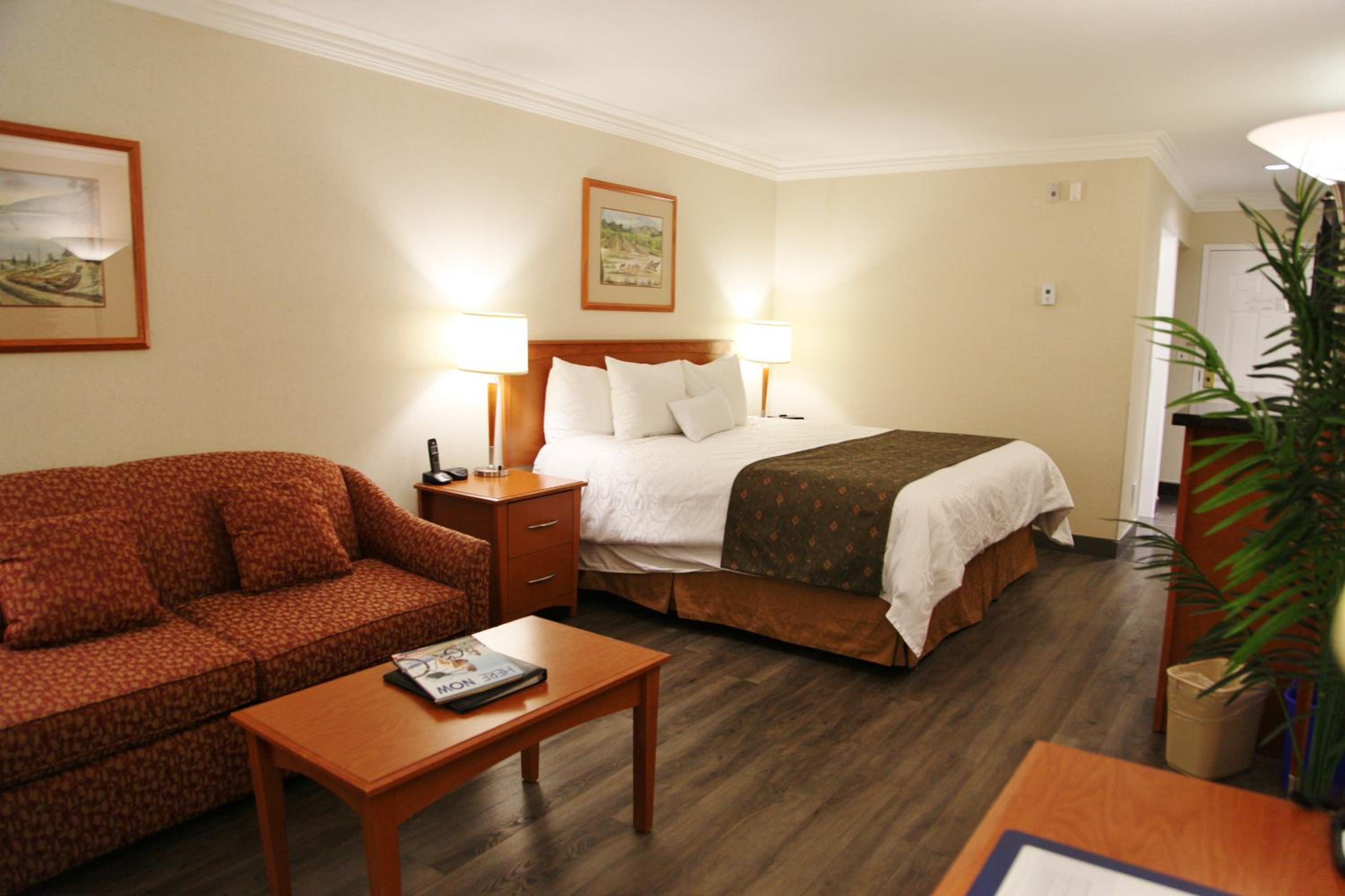 King Suite with Sofa Bed - Non-Smoking - Photo 7