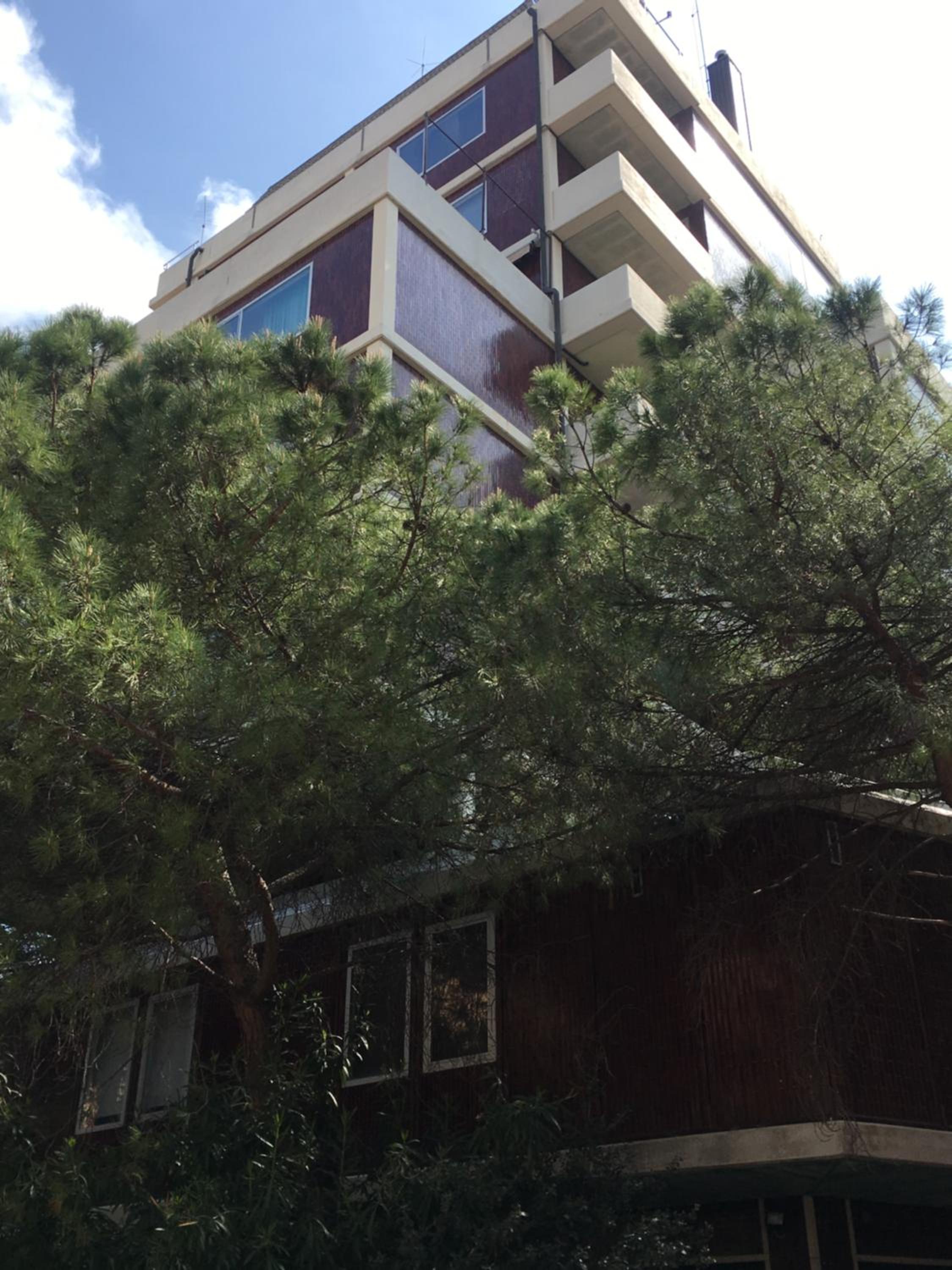 Apartment - Photo 6