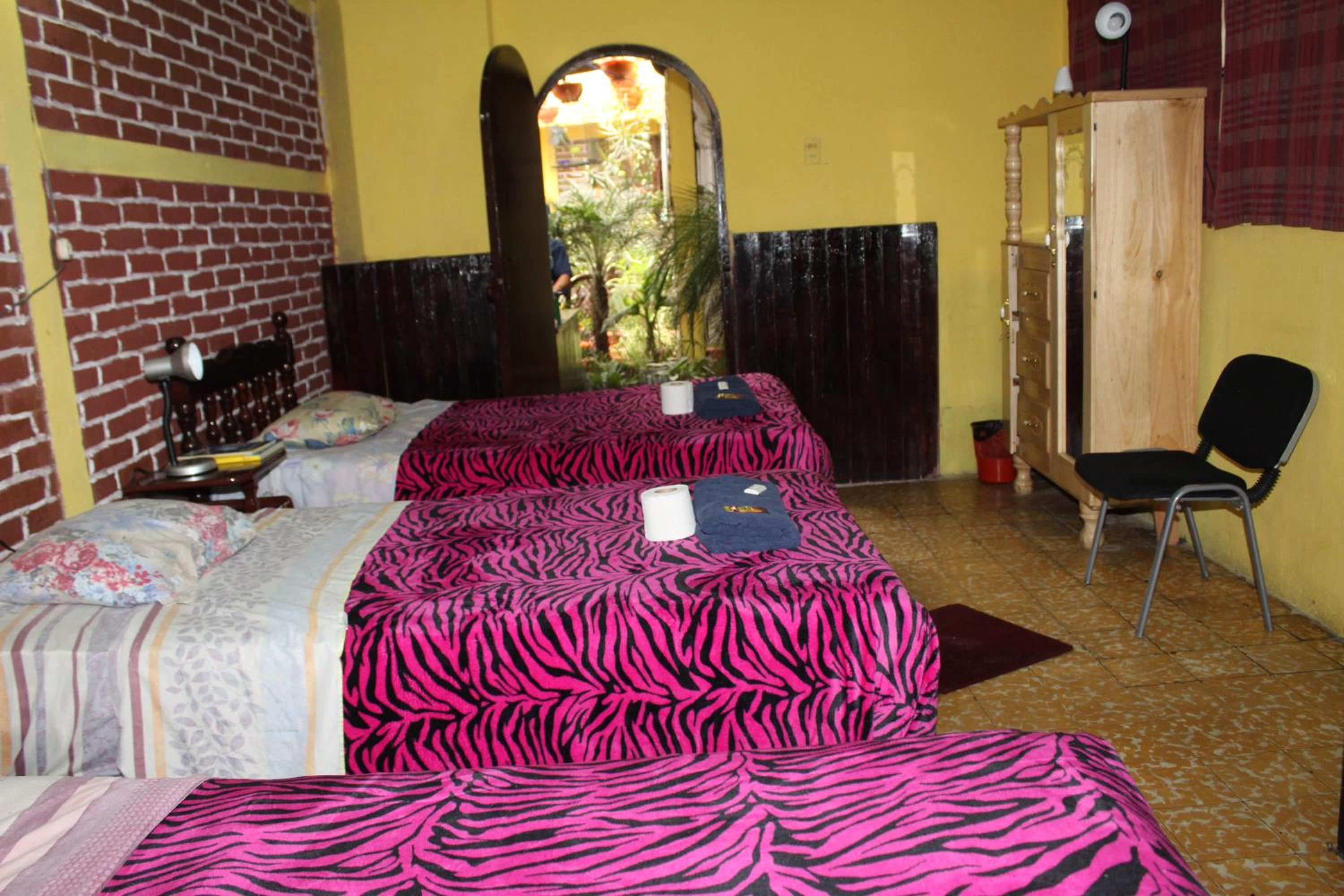 Triple Room photo 1