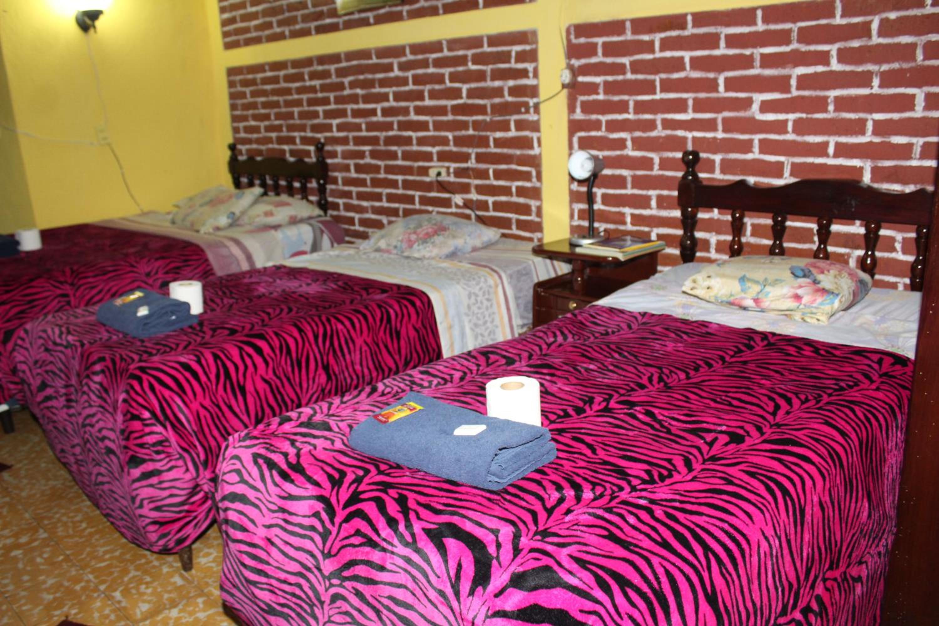 Triple Room photo 2