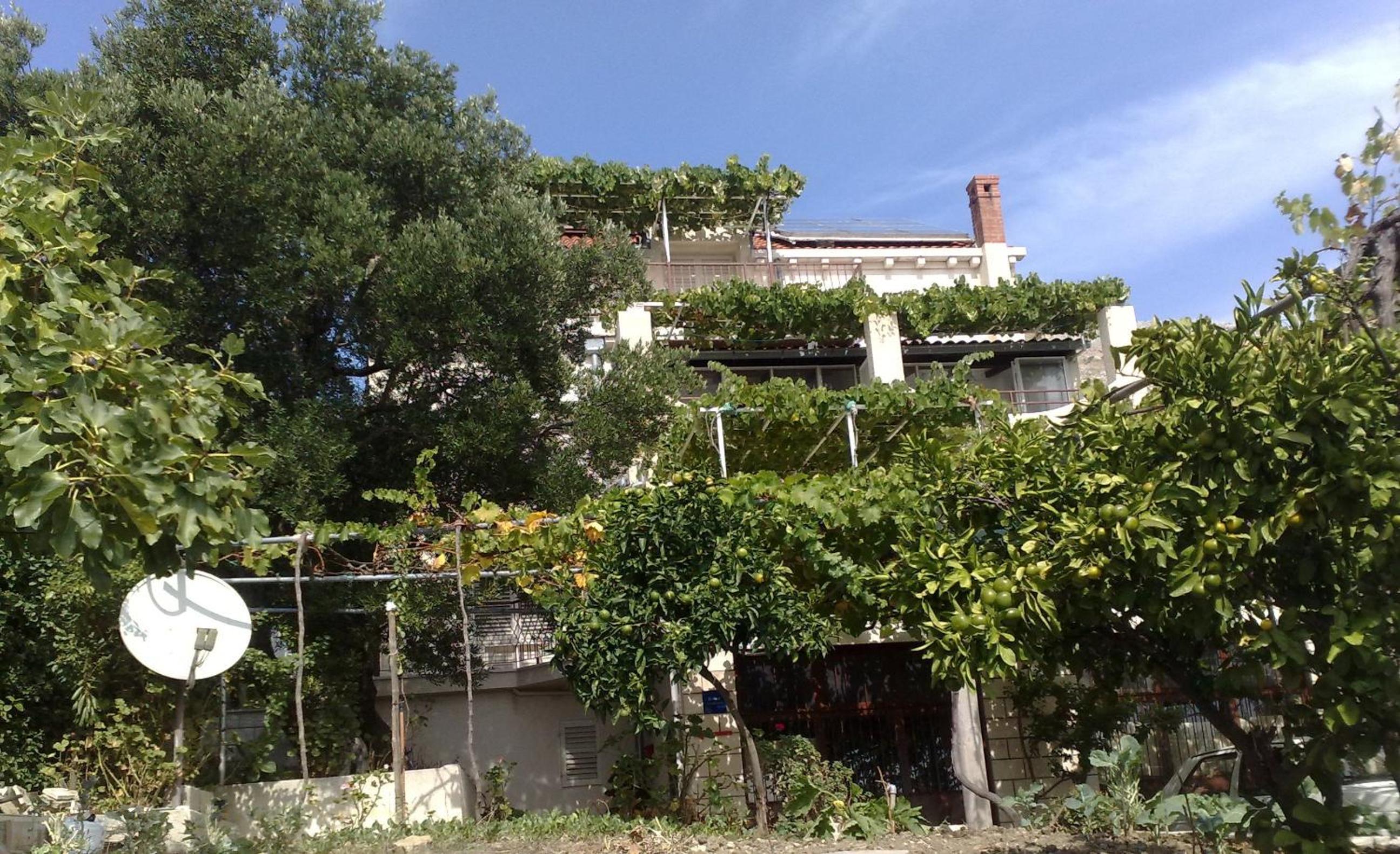 Studio with Balcony and Sea View (2-3 Adults) photo 3