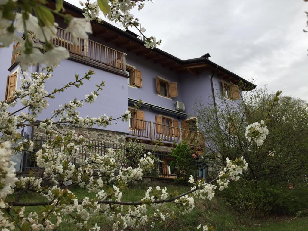 Double Room With Shared Bathroom And Terrace photo 2