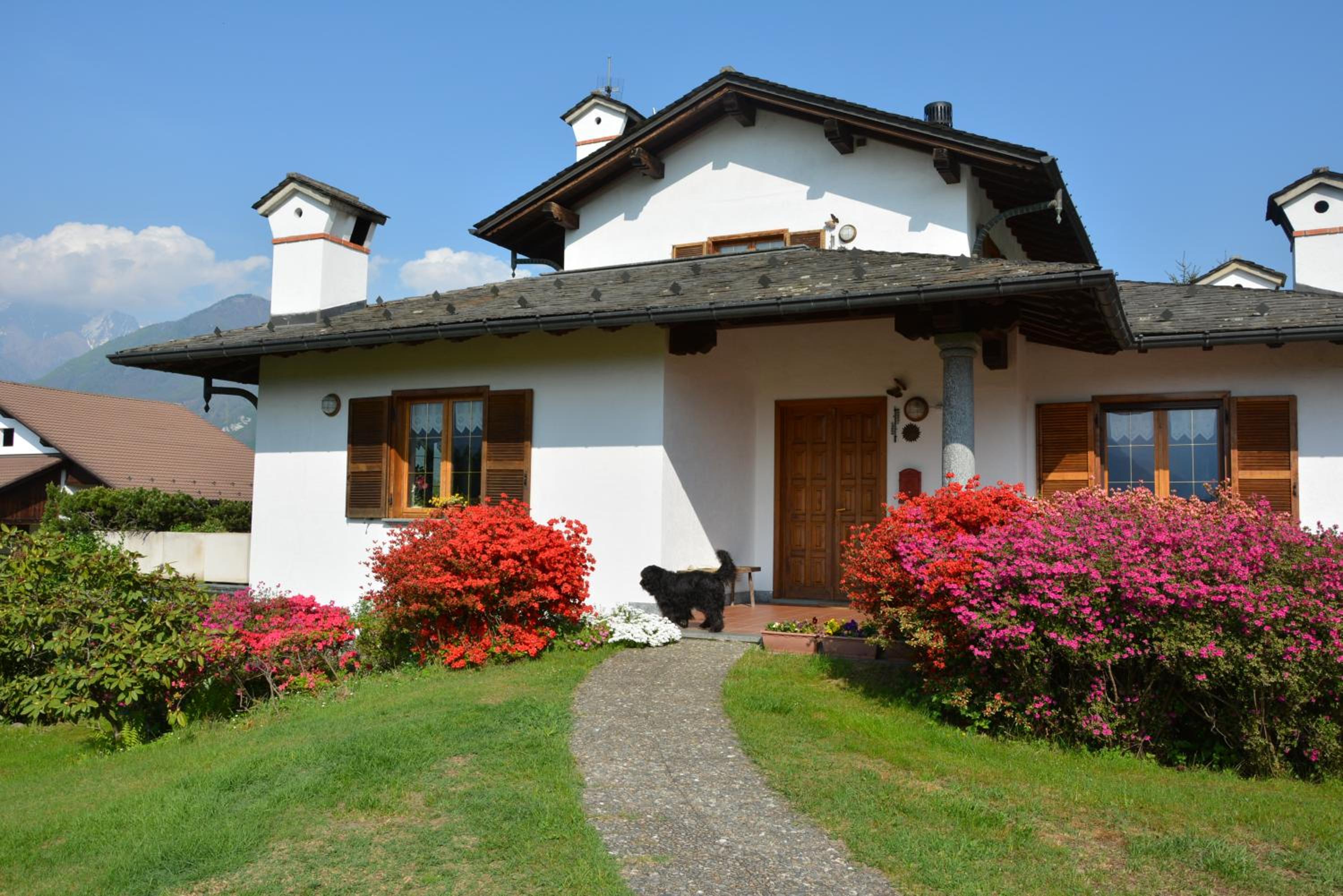 Apartment with Terrace photo 3