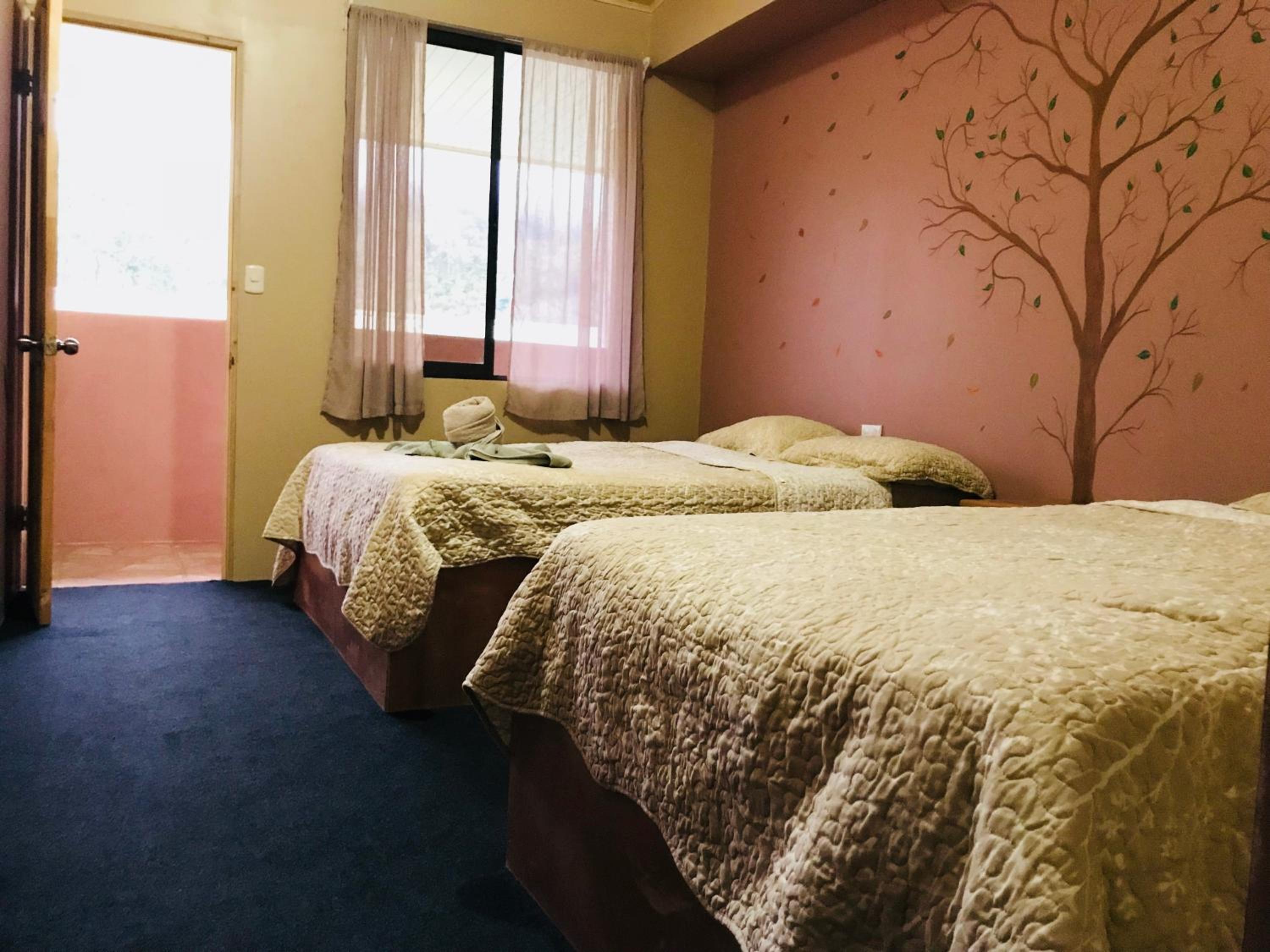 Twin Room with Private Bathroom photo 3
