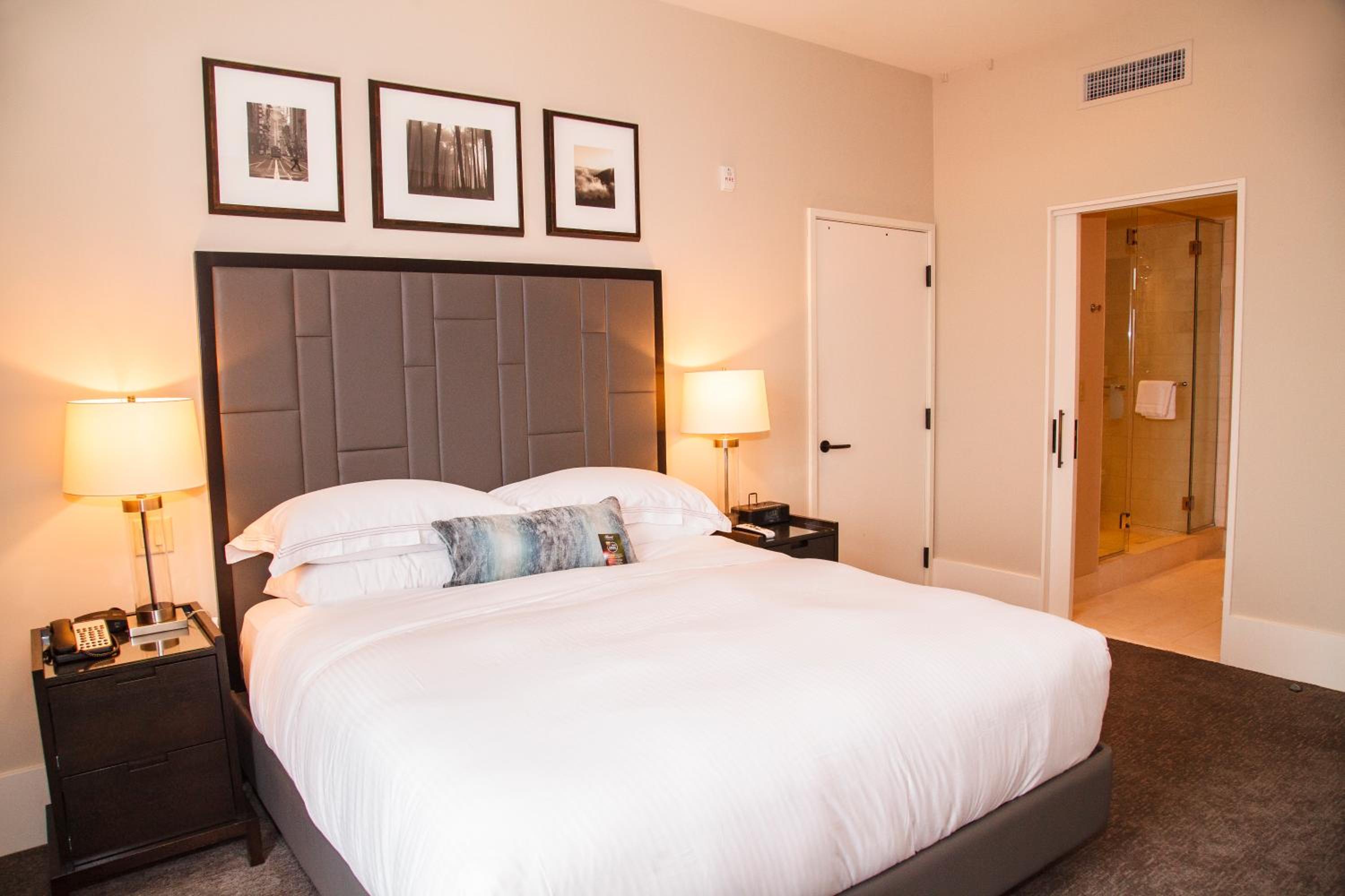 One Bedroom Residence with One King Bed and Sofa bed