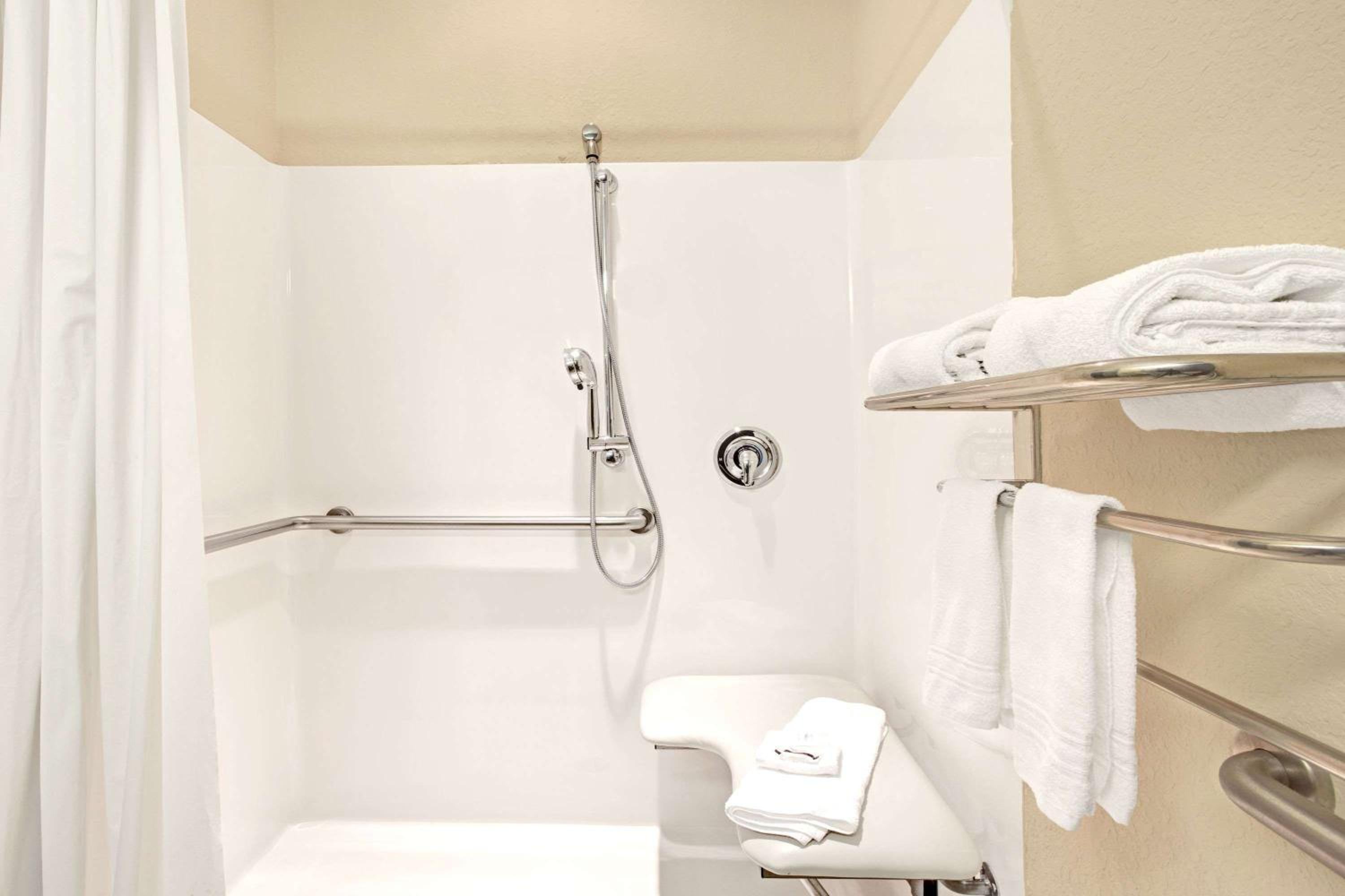 Queen Room with Roll-In Shower - Mobility Access/Non-Smoking - Photo 3