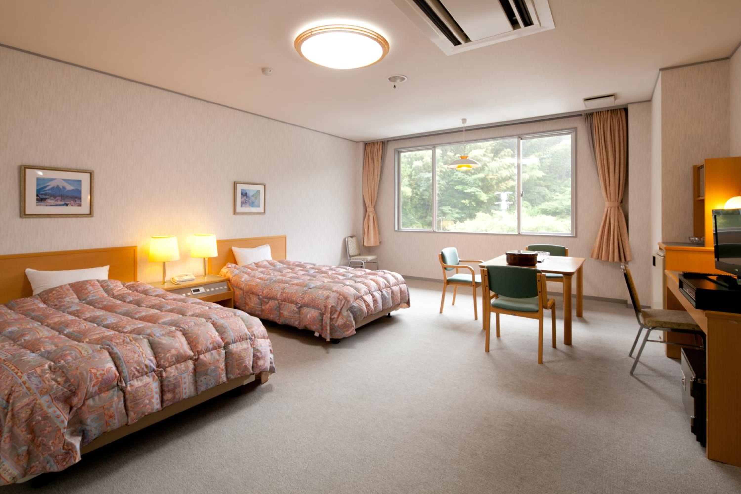 Twin Room - Disability Access photo 1