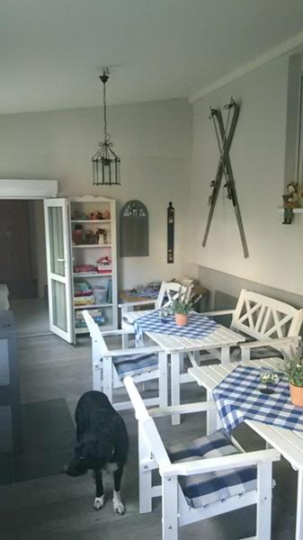 Apartment - Photo 6