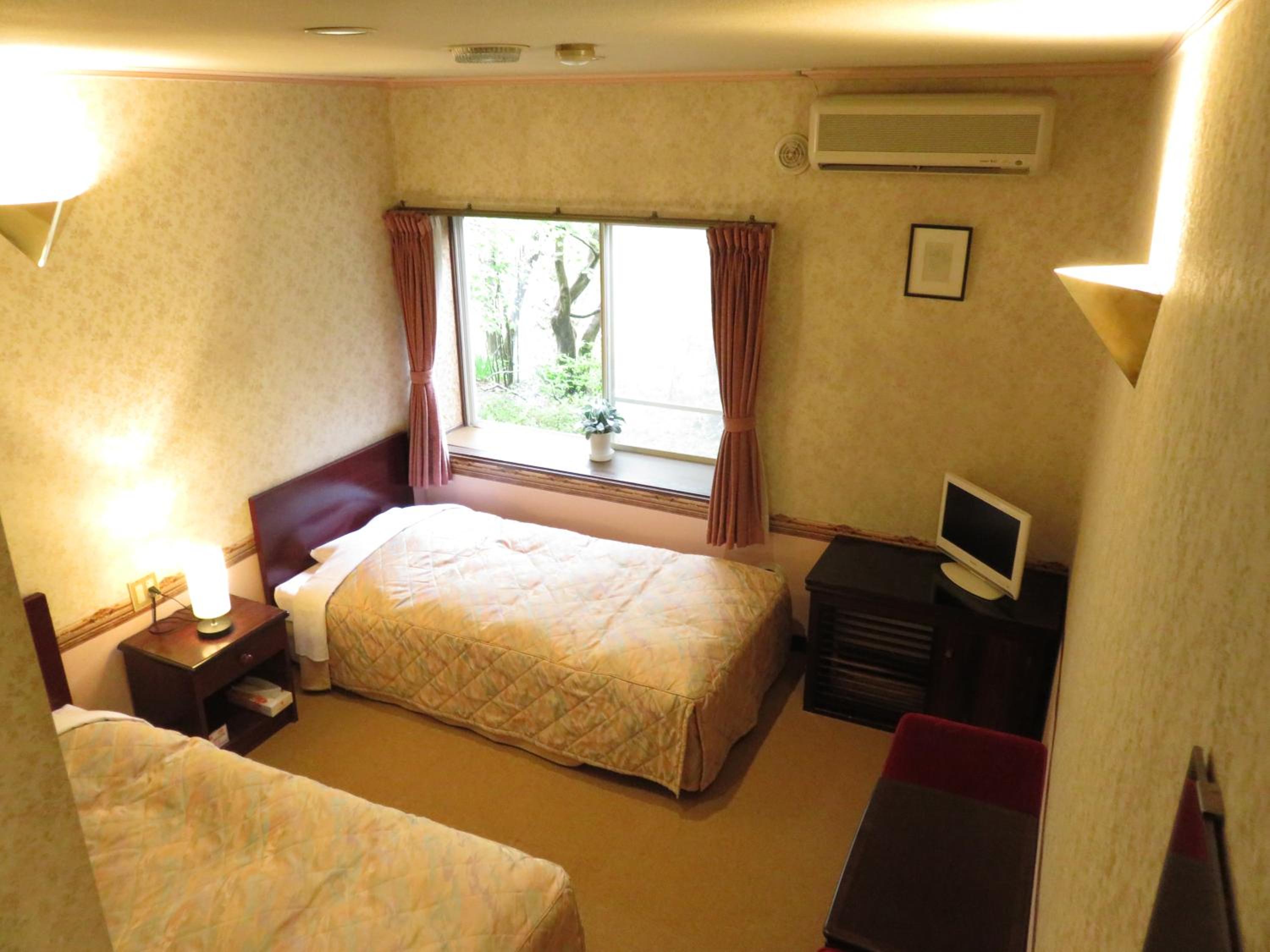 Twin Room photo 2