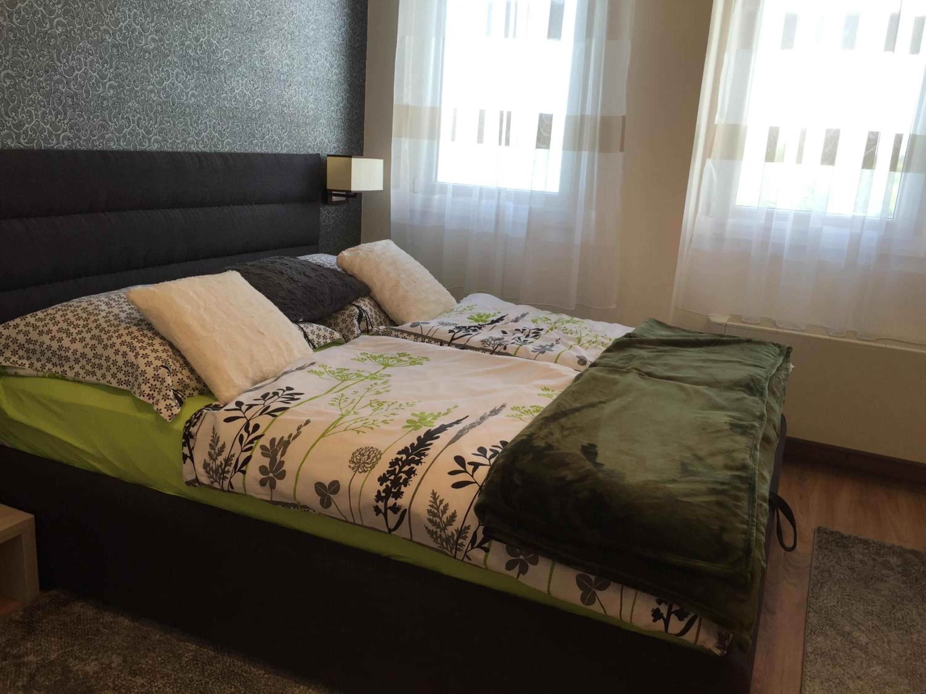 Deluxe One-Bedroom Apartment - Photo 8