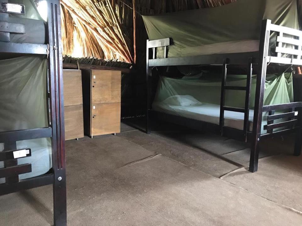 Bed in 6-Bed Mixed Dormitory Room photo 1